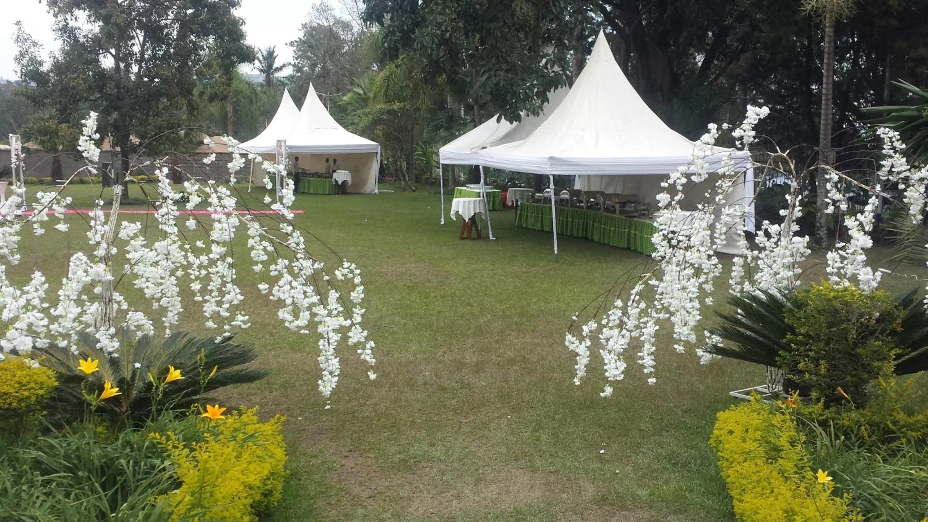 Garden view, Garden in Gorillas Lake Kivu Hotel