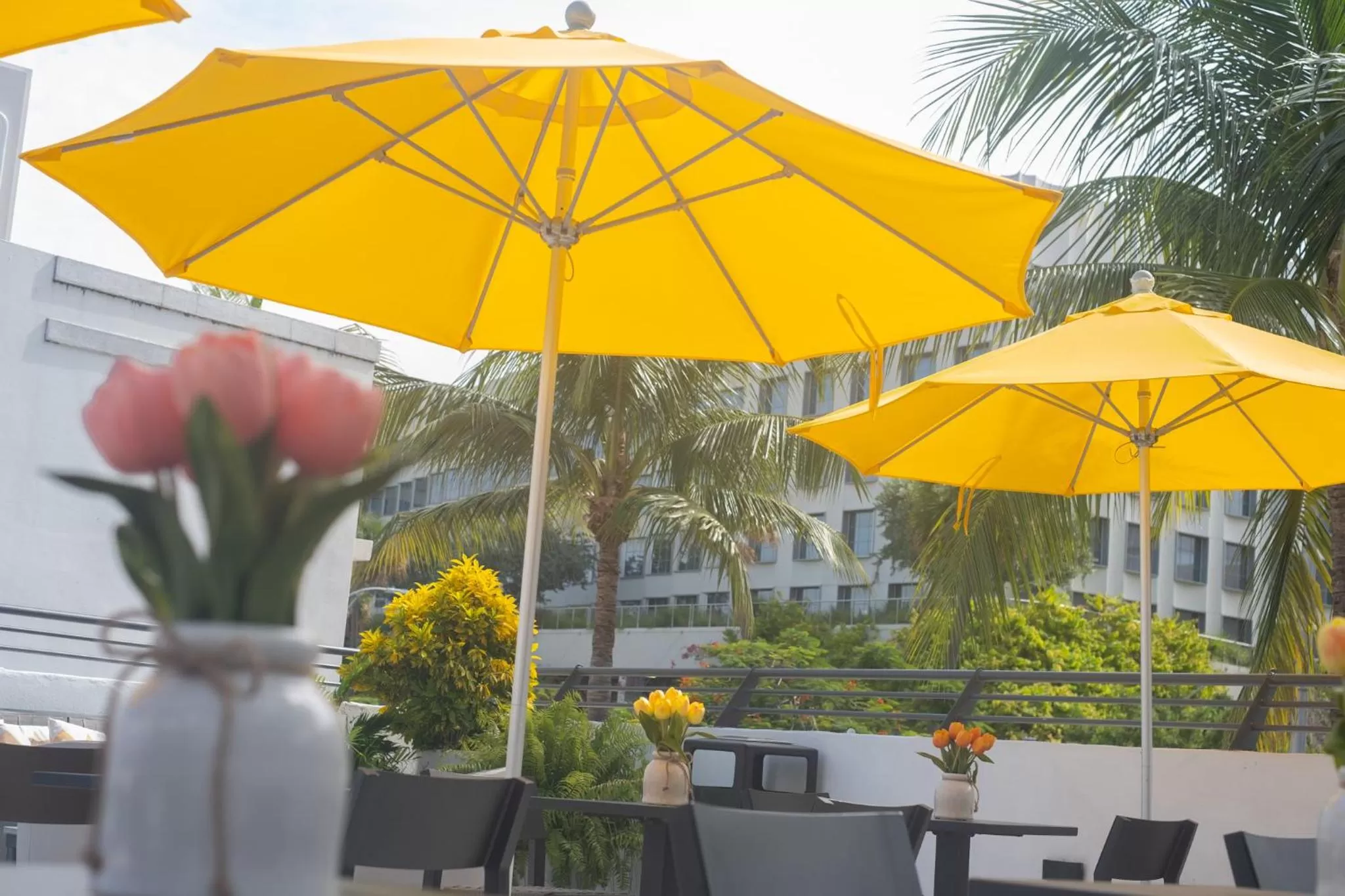 Balcony/Terrace in Fashion Boutique Hotel