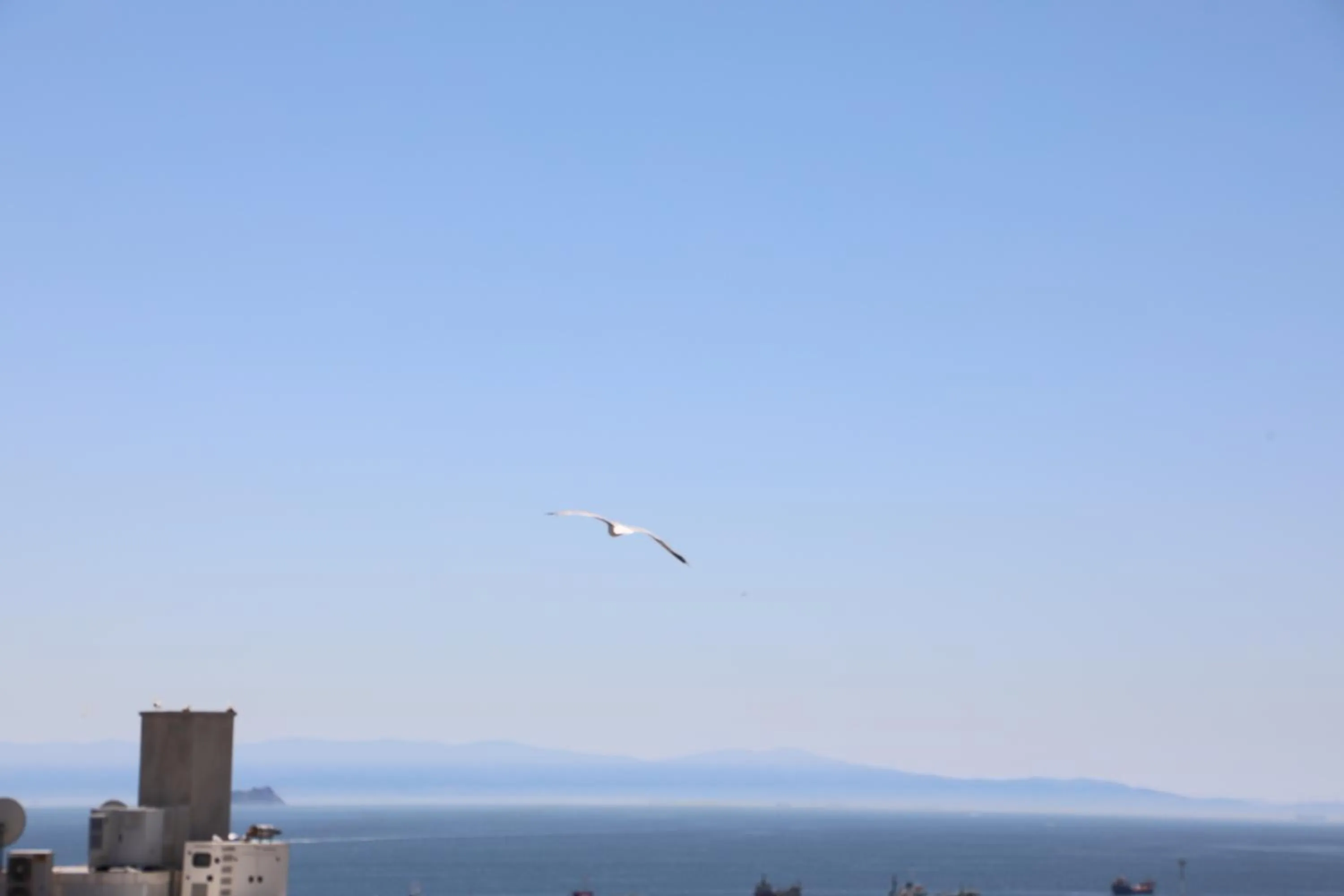 Day in Istanbul Royal Hotel