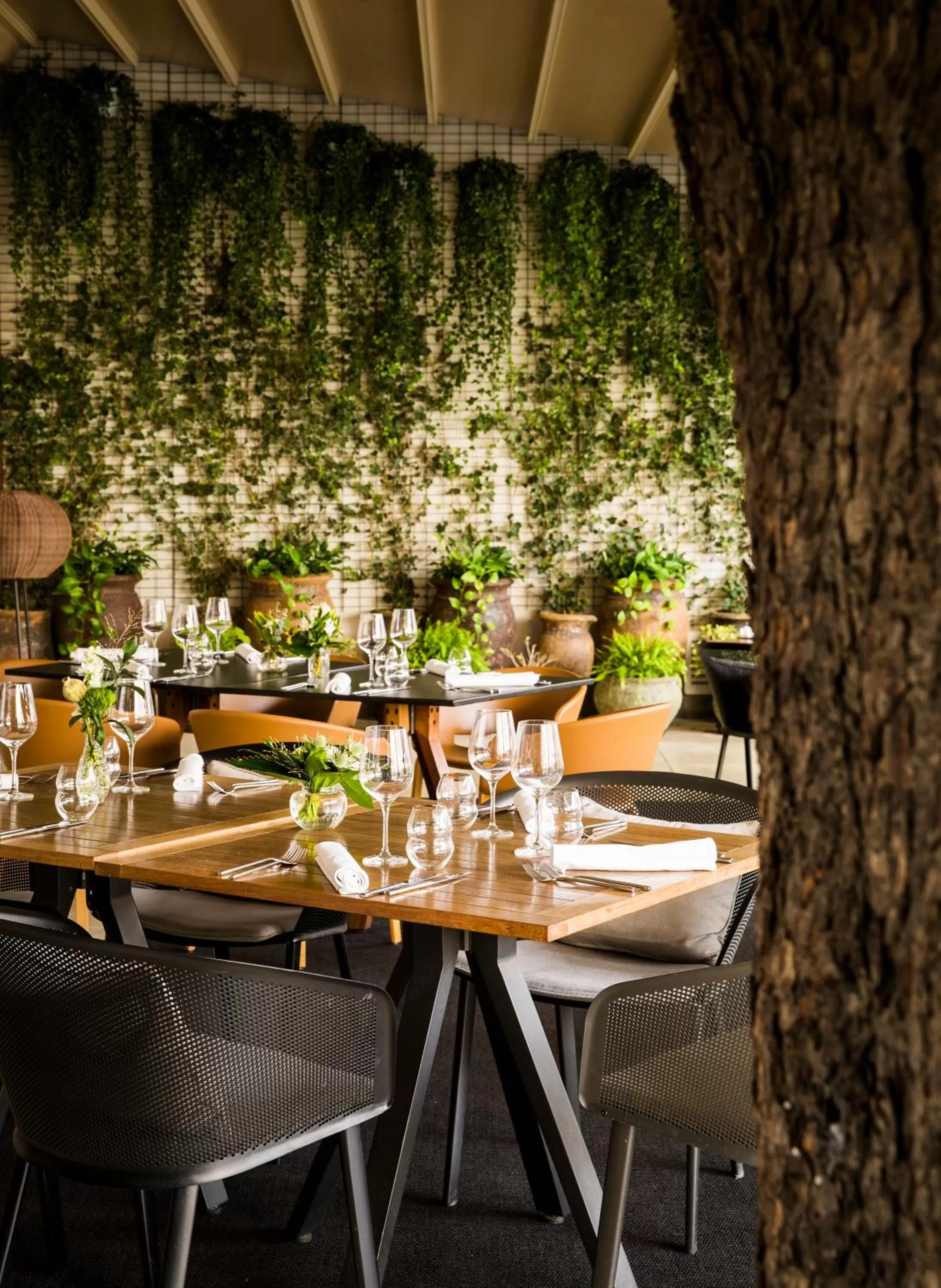 Restaurant/places to eat in Palacio de los Duques Gran Meliá - The Leading Hotels of the World