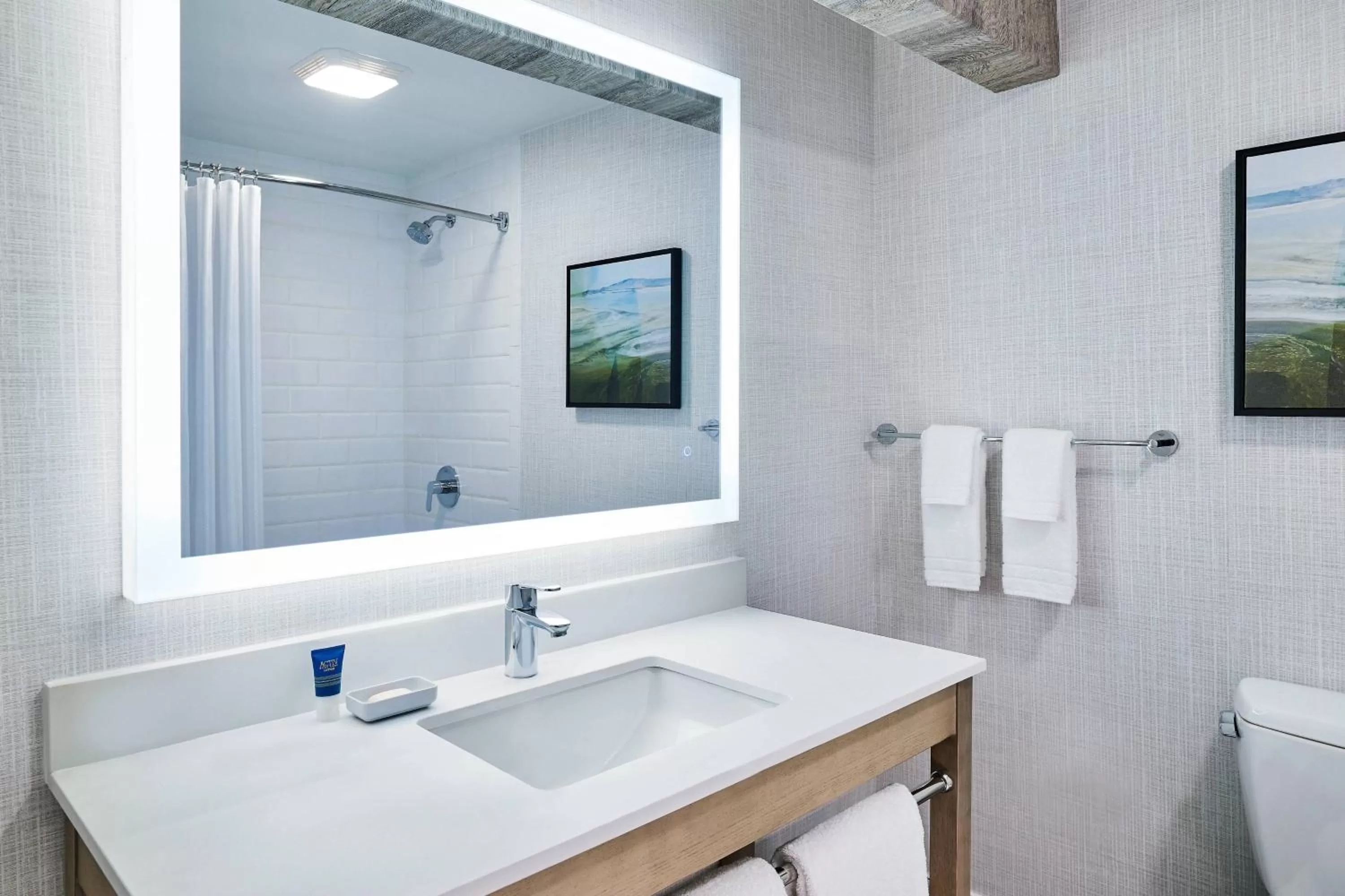 Bathroom in Four Points by Sheraton Salt Lake City Airport