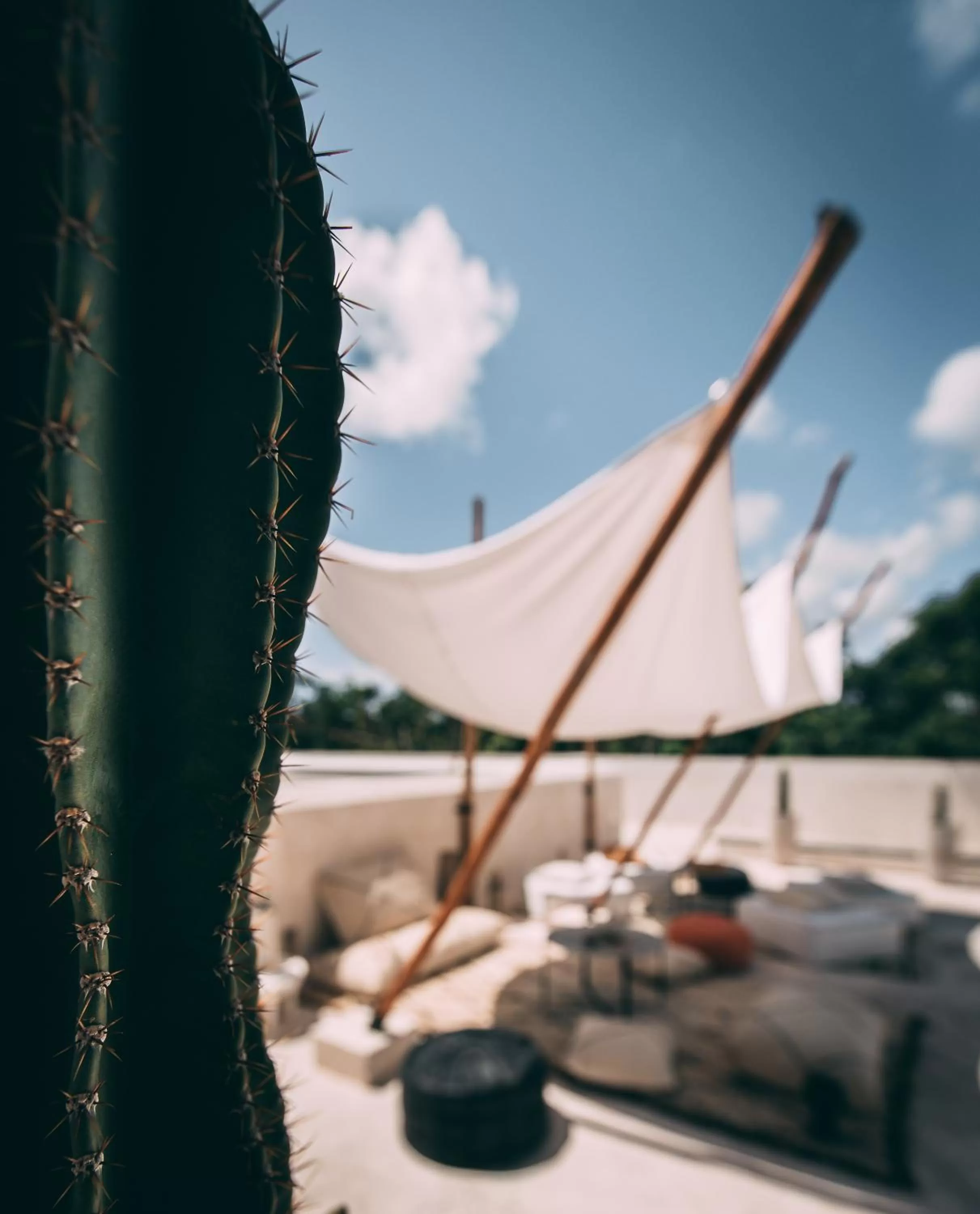 Patio in Ambre & Epices Jungle Hotel & Spa