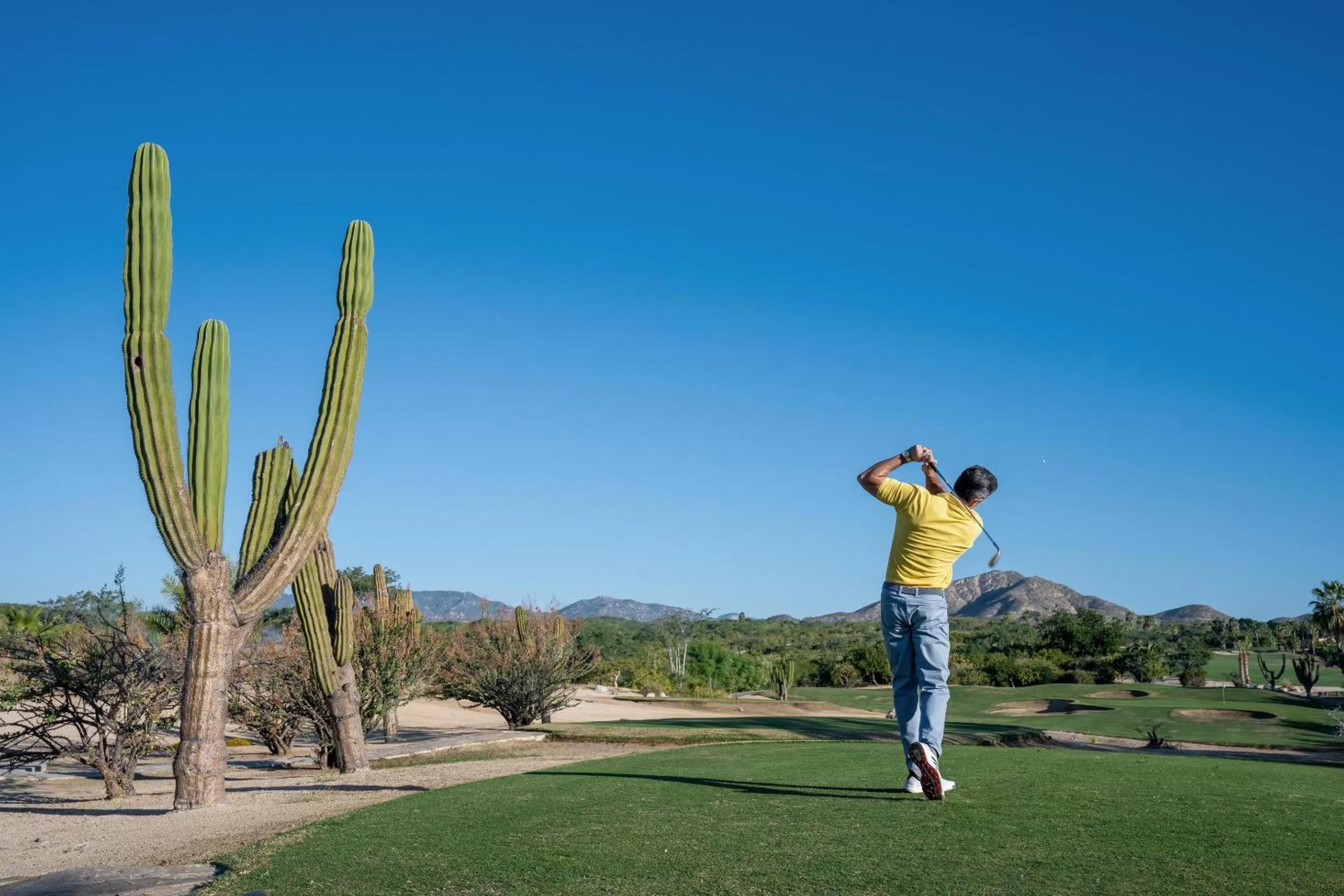 Activities in Le Blanc Spa Resort Los Cabos - Adults Only - All-Inclusive