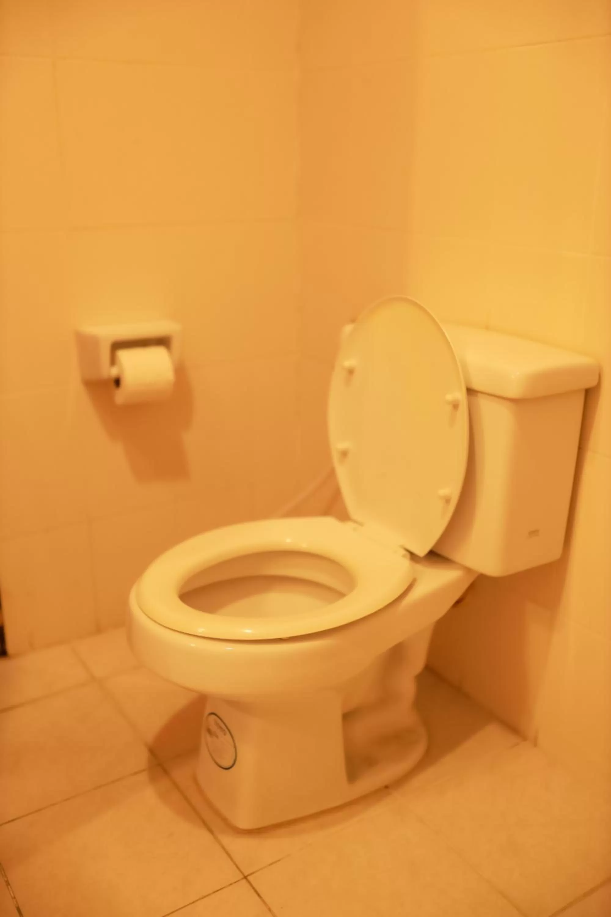 Toilet in Tycoon place garden