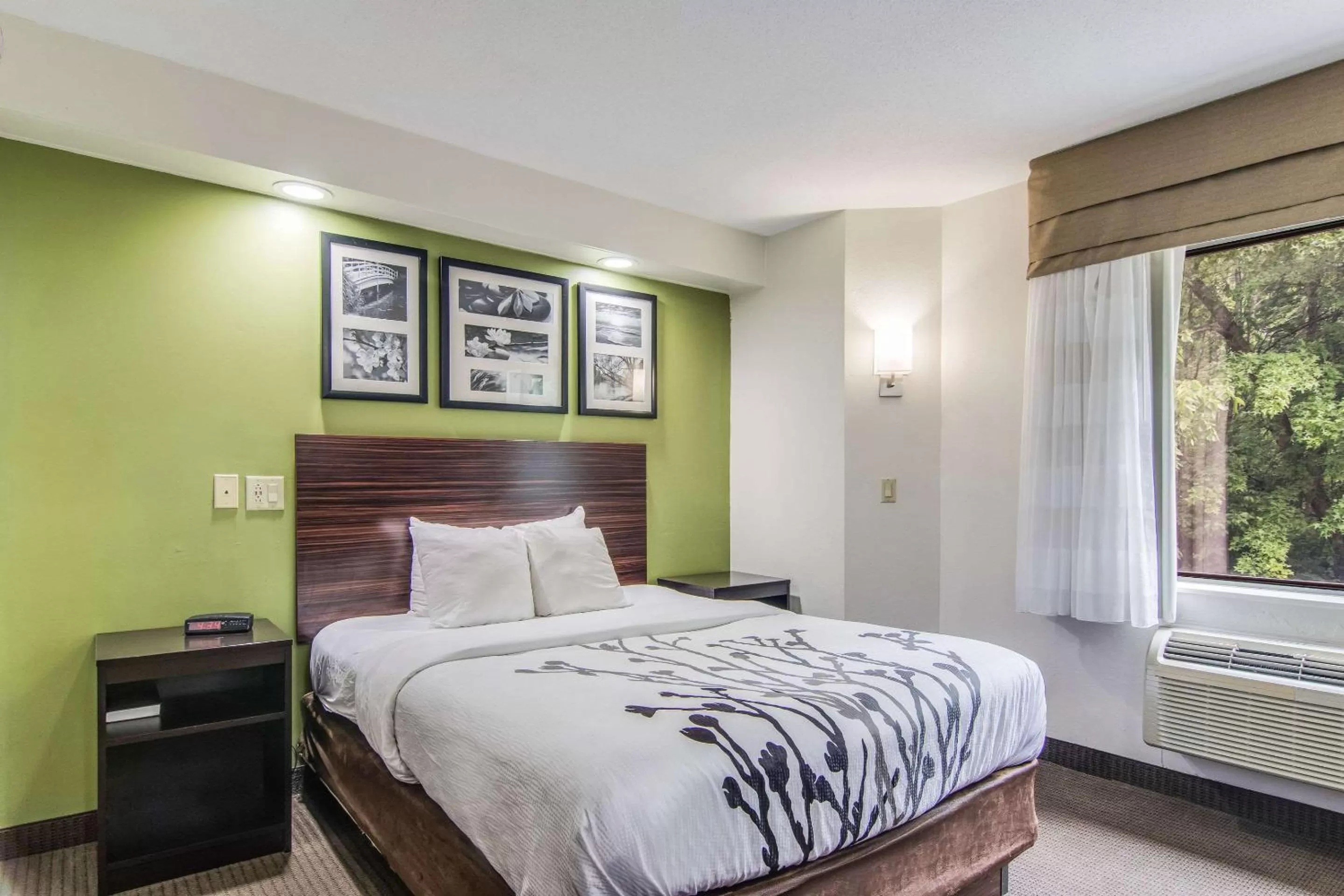 Photo of the whole room, Bed in Sleep Inn Austintown - Youngstown, West