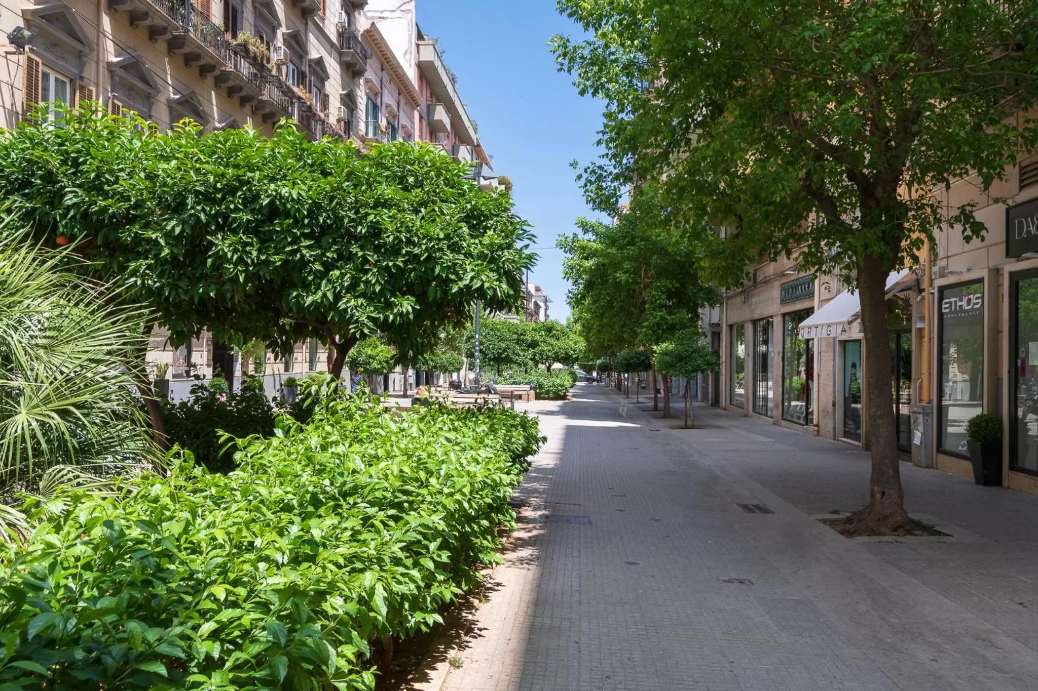 Neighbourhood in Belmonte102 Esclusive Suites