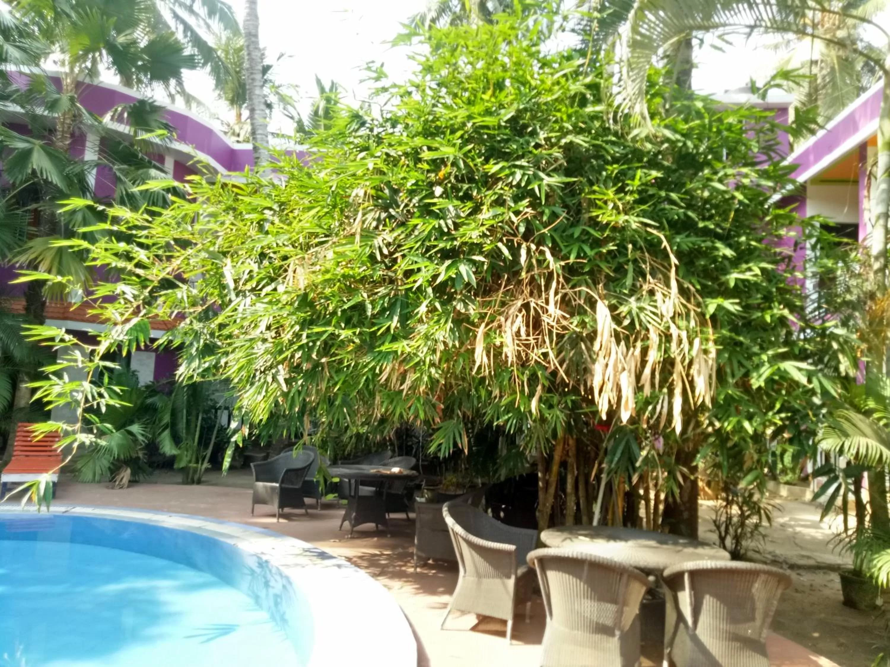 Swimming Pool in Wilson Ayurvedic Beach Resorts