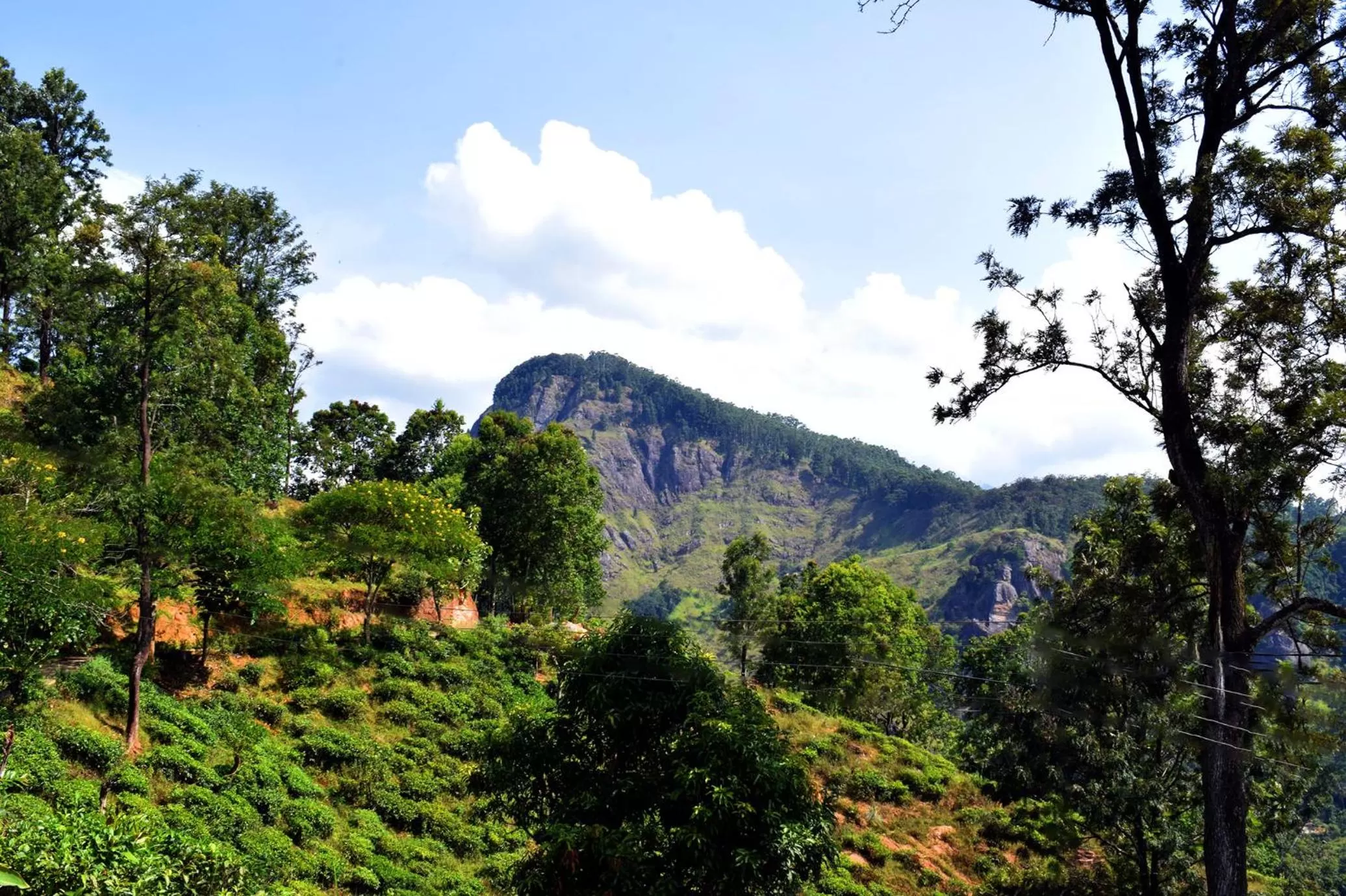 Mountain view in The Chillout Ella