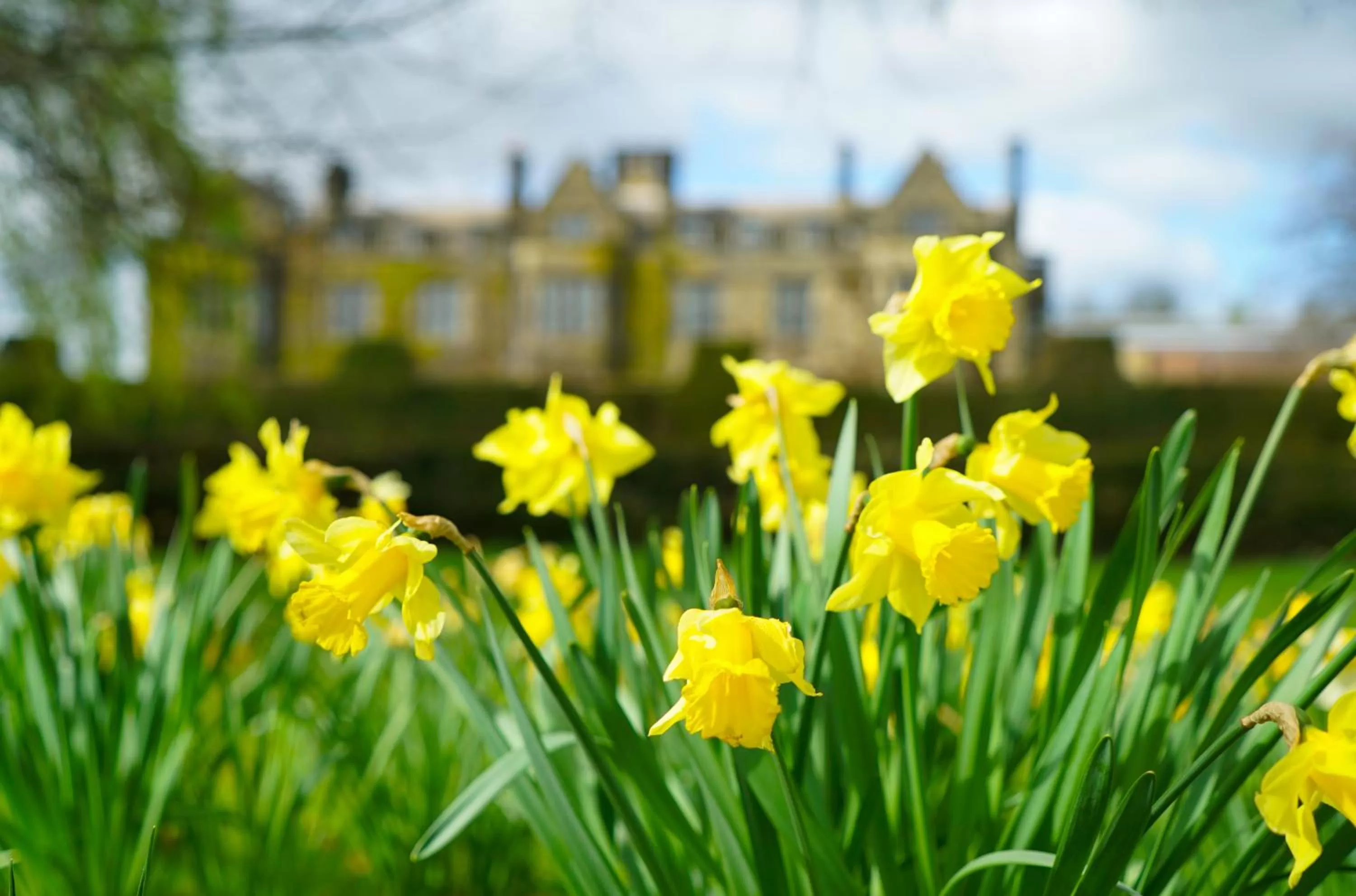 Facade/entrance in Gisborough Hall Hotel