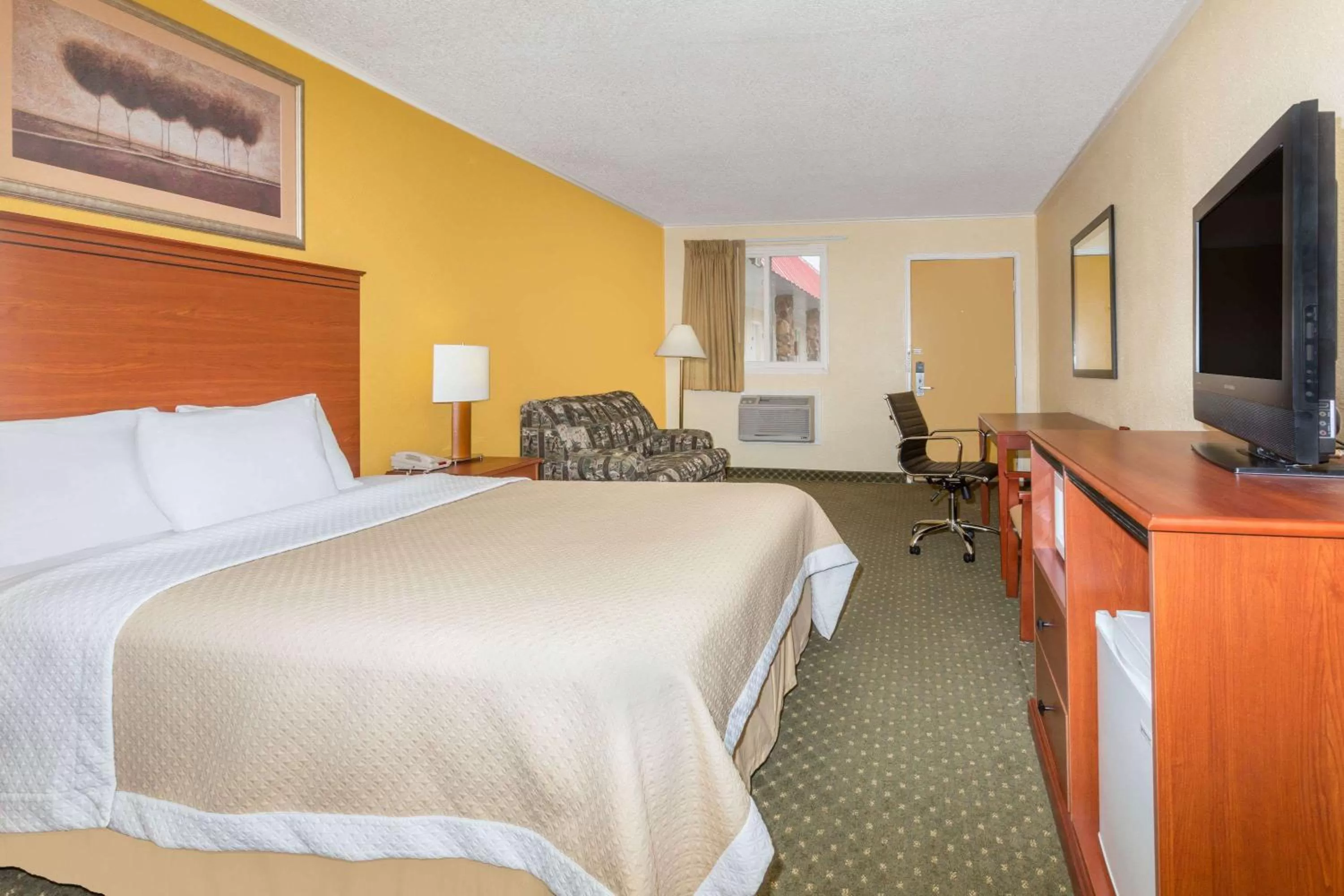 Photo of the whole room in Alamo Inn