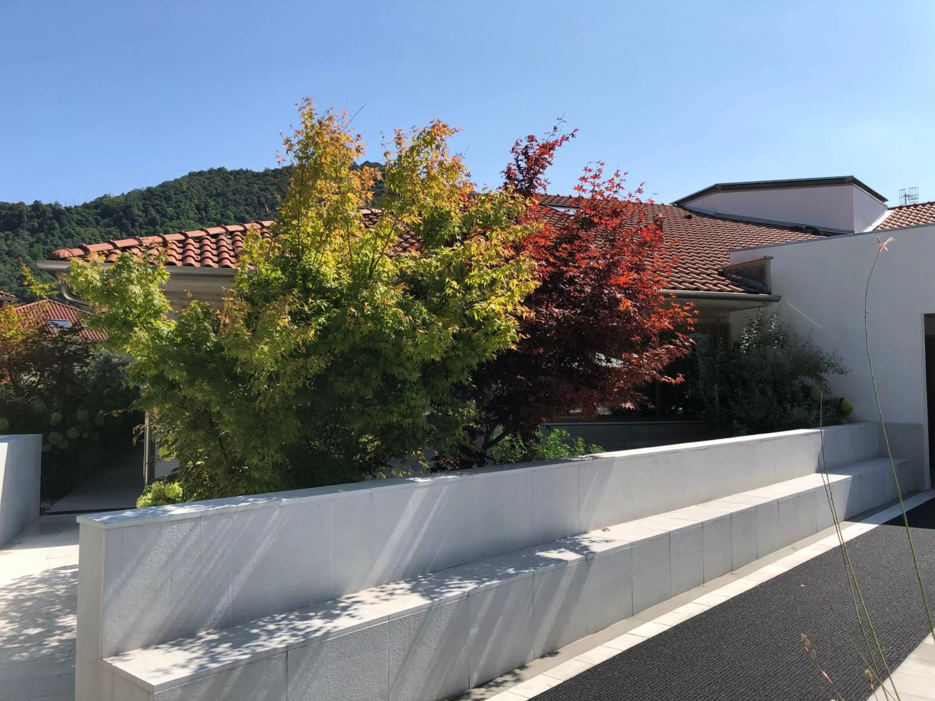 Garden in Aldeia Bianca Village