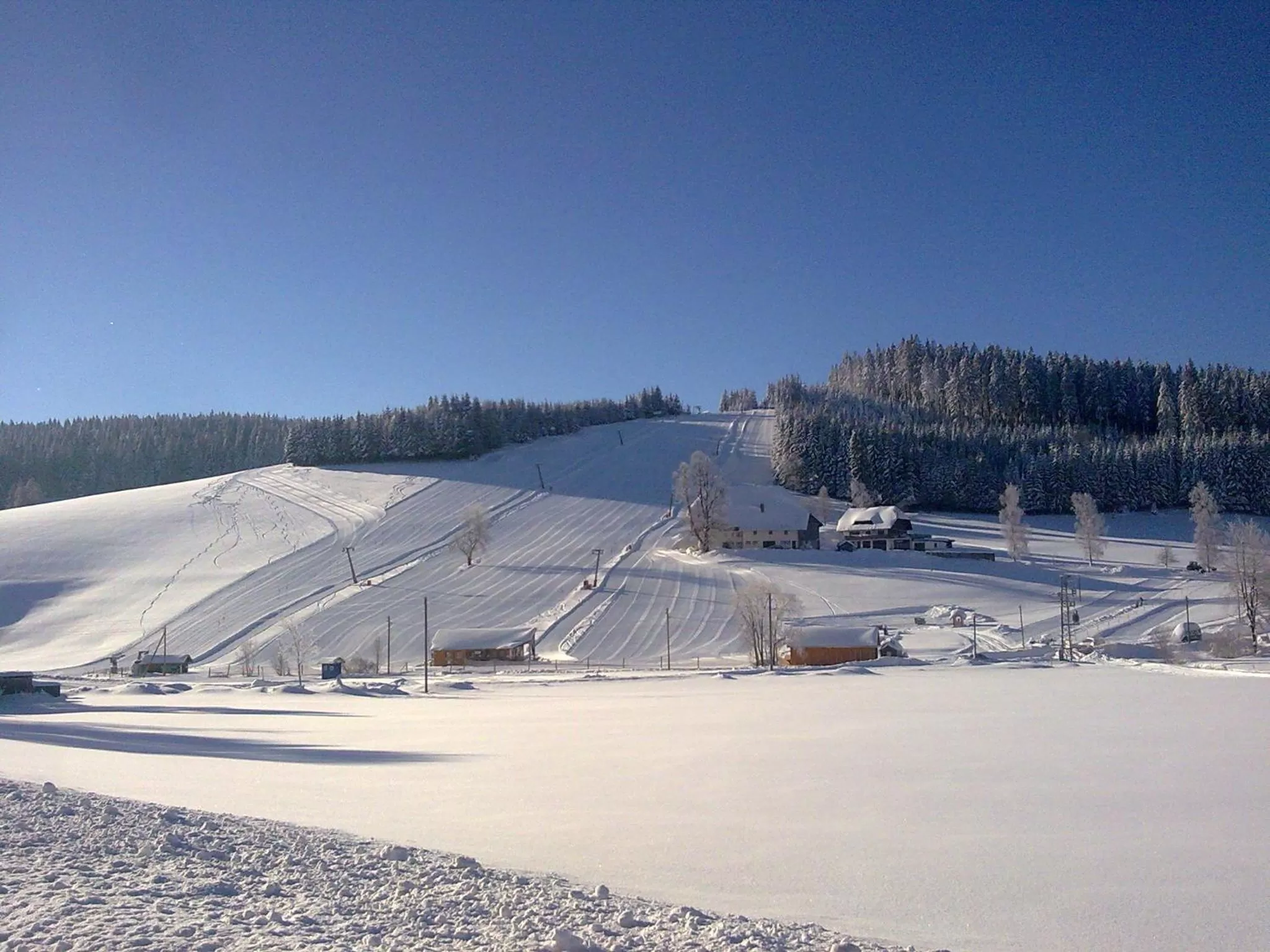 Natural landscape in ZUR TRAUBE Schwarzwaldhotel & Restaurant am Titisee