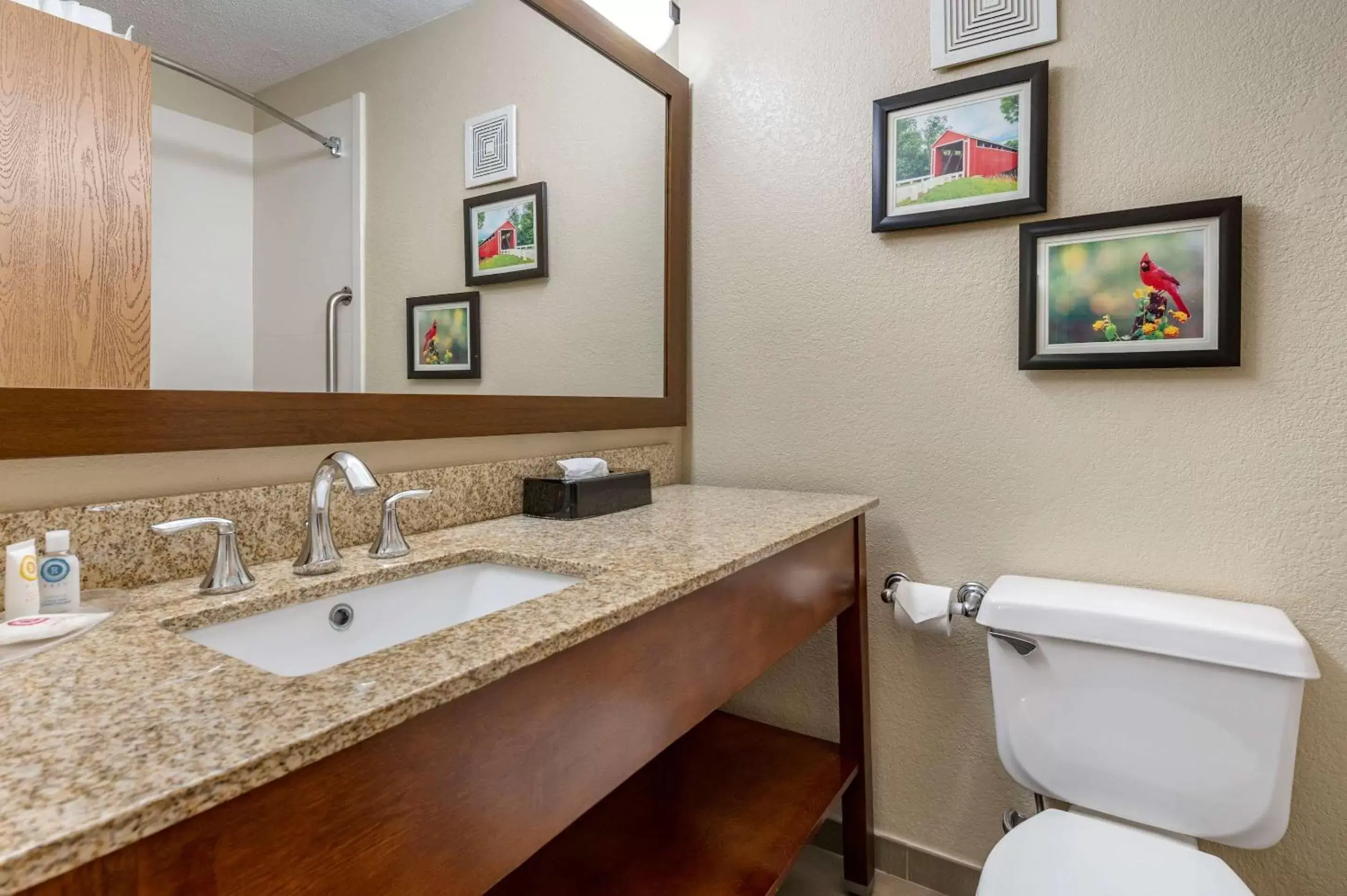 King Suite with Sofa Bed - Non Smoking in Comfort Inn Near Kokomo Speedway King Suite with Sofa Bed - Non Smoking in Comfort Inn Near Kokomo Speedway