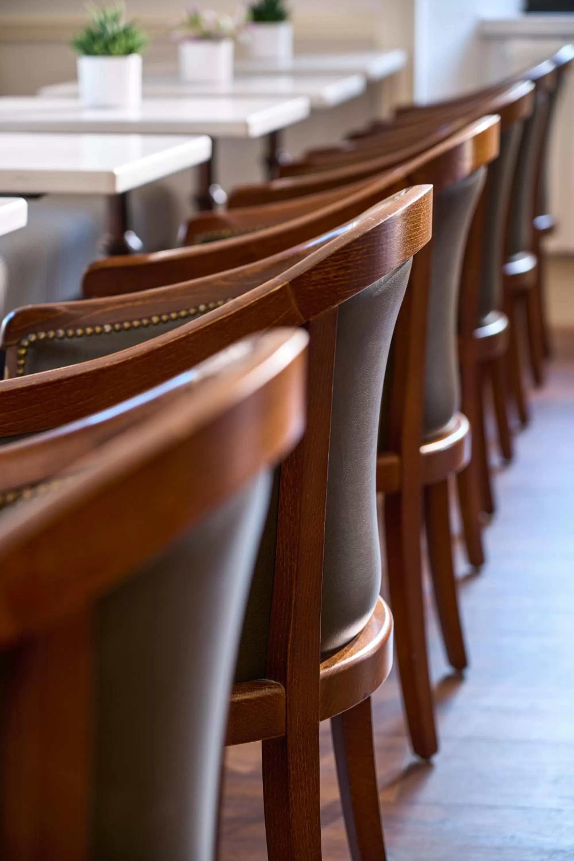 Restaurant/places to eat in The Lansdowne Kenmare