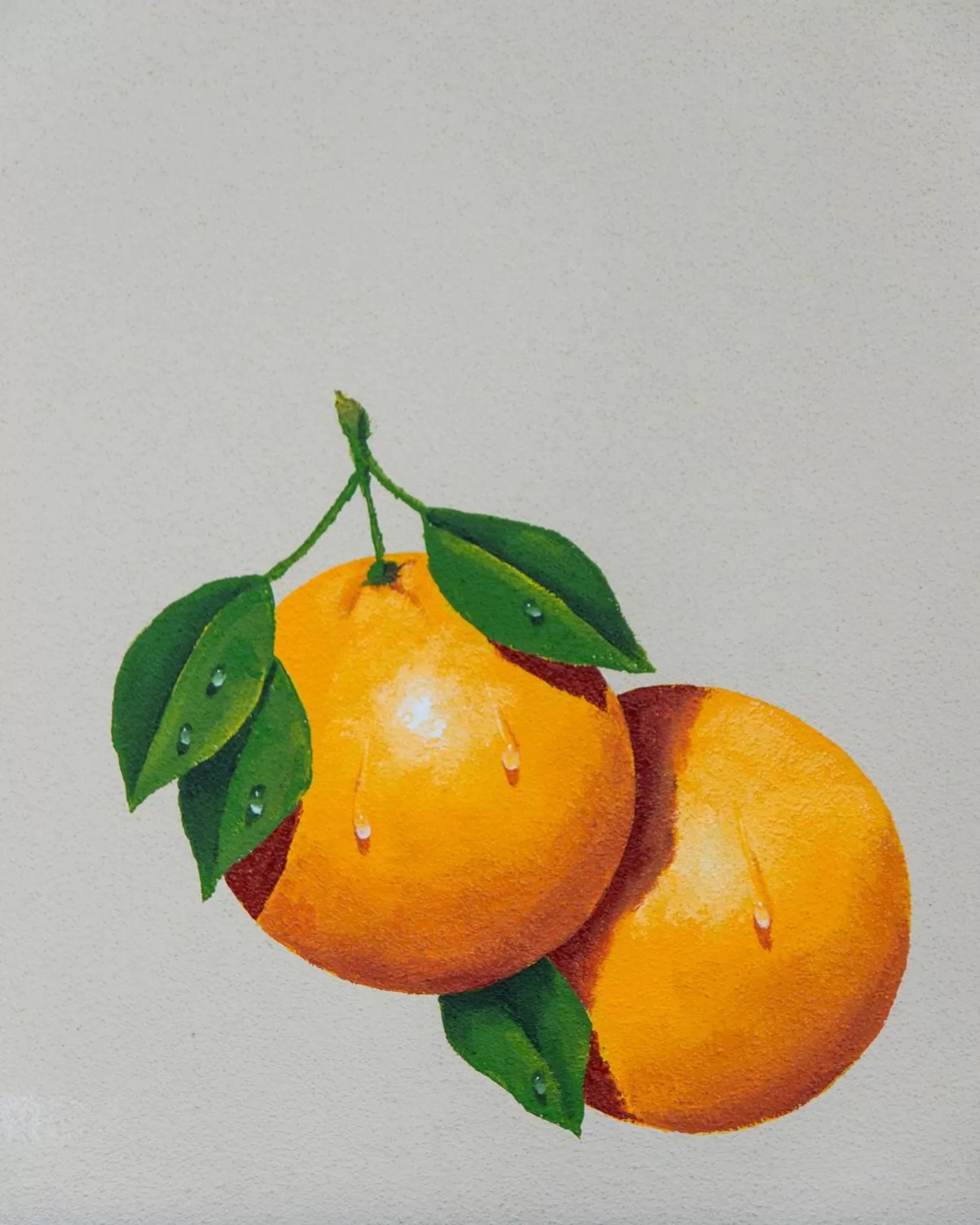 Area and facilities in Candlewood Suites - Safety Harbor by IHG