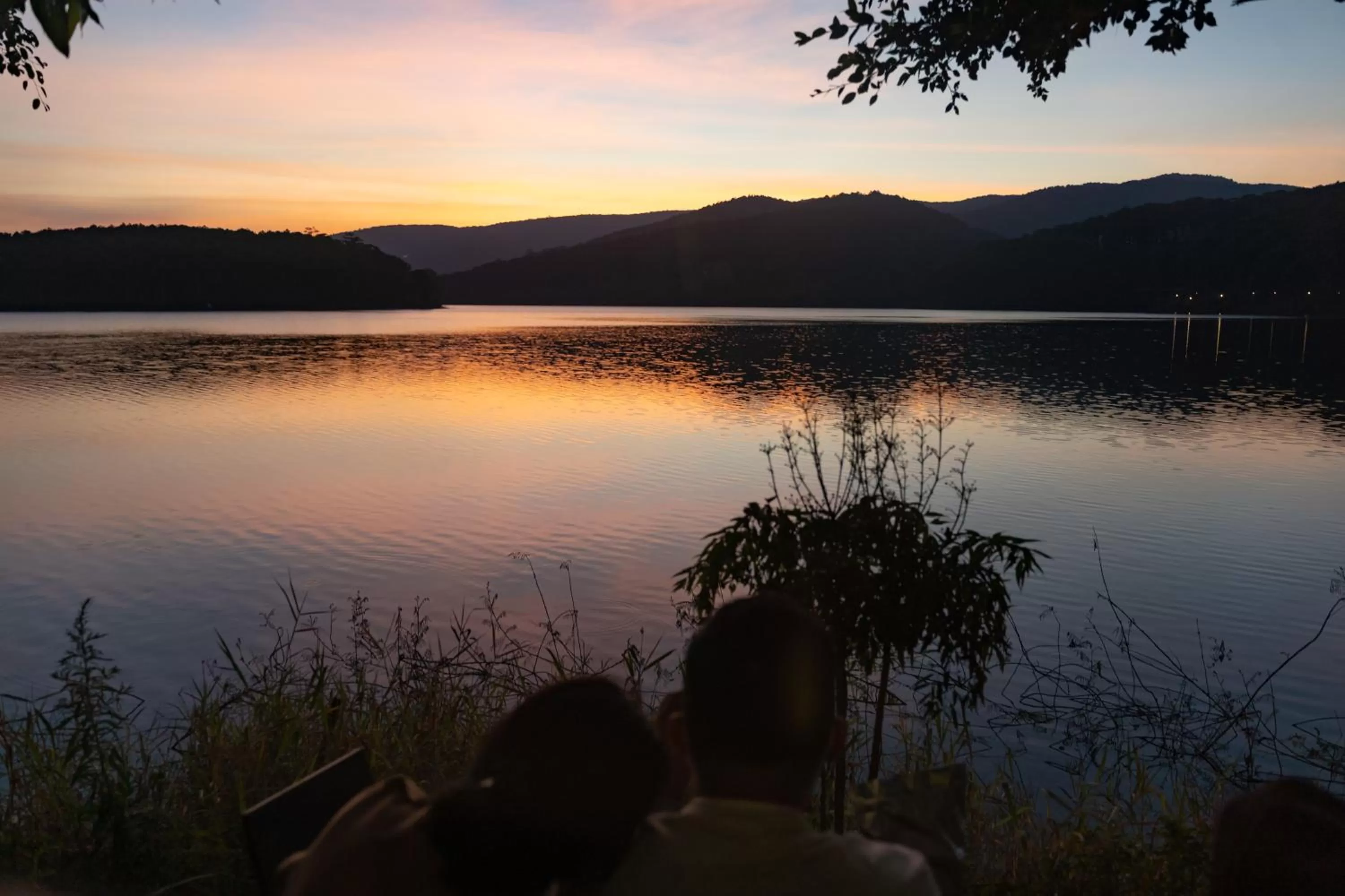 Natural landscape in The Lake House Dalat