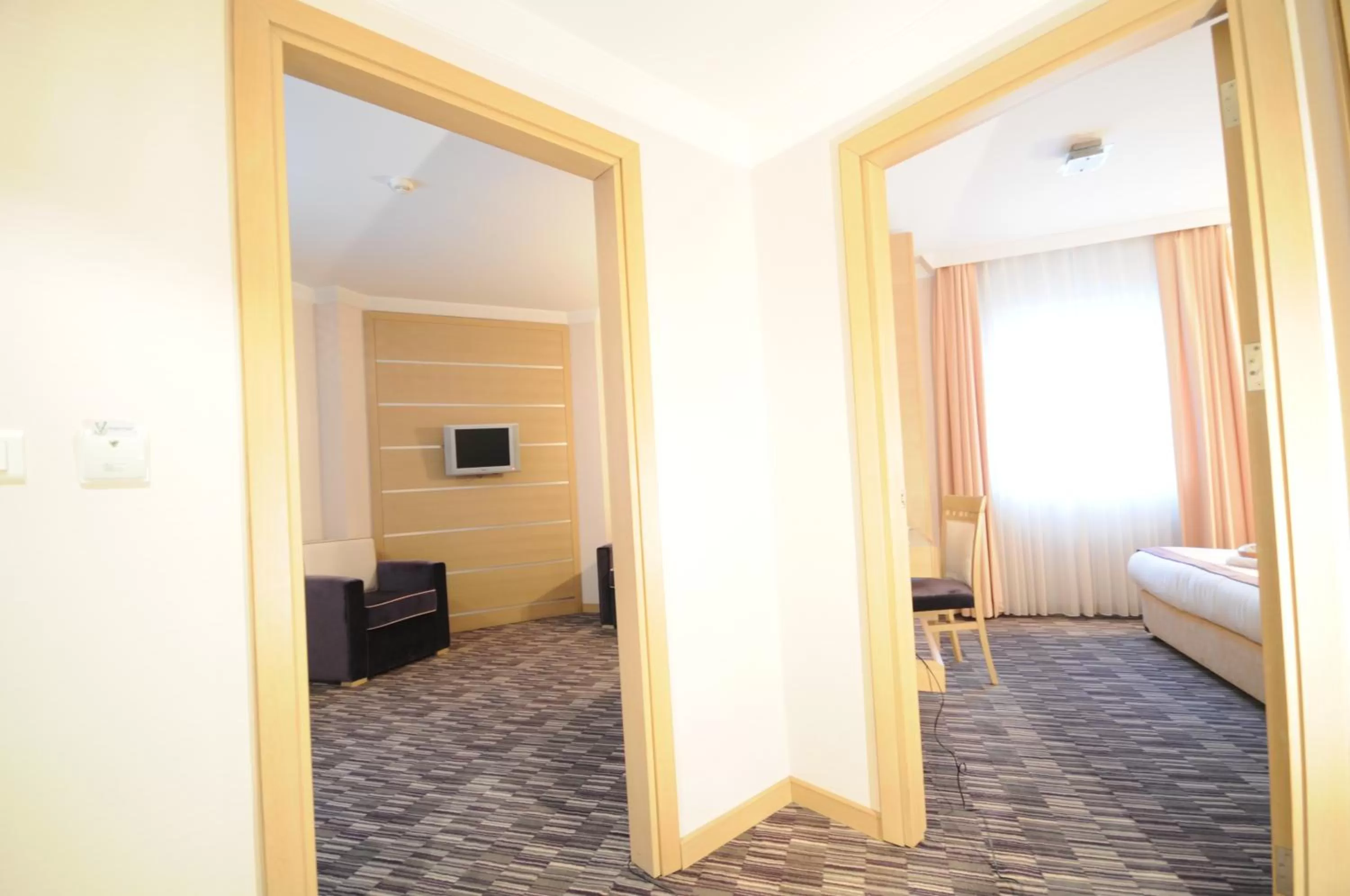 TV and multimedia in SV Business Hotel Taksim