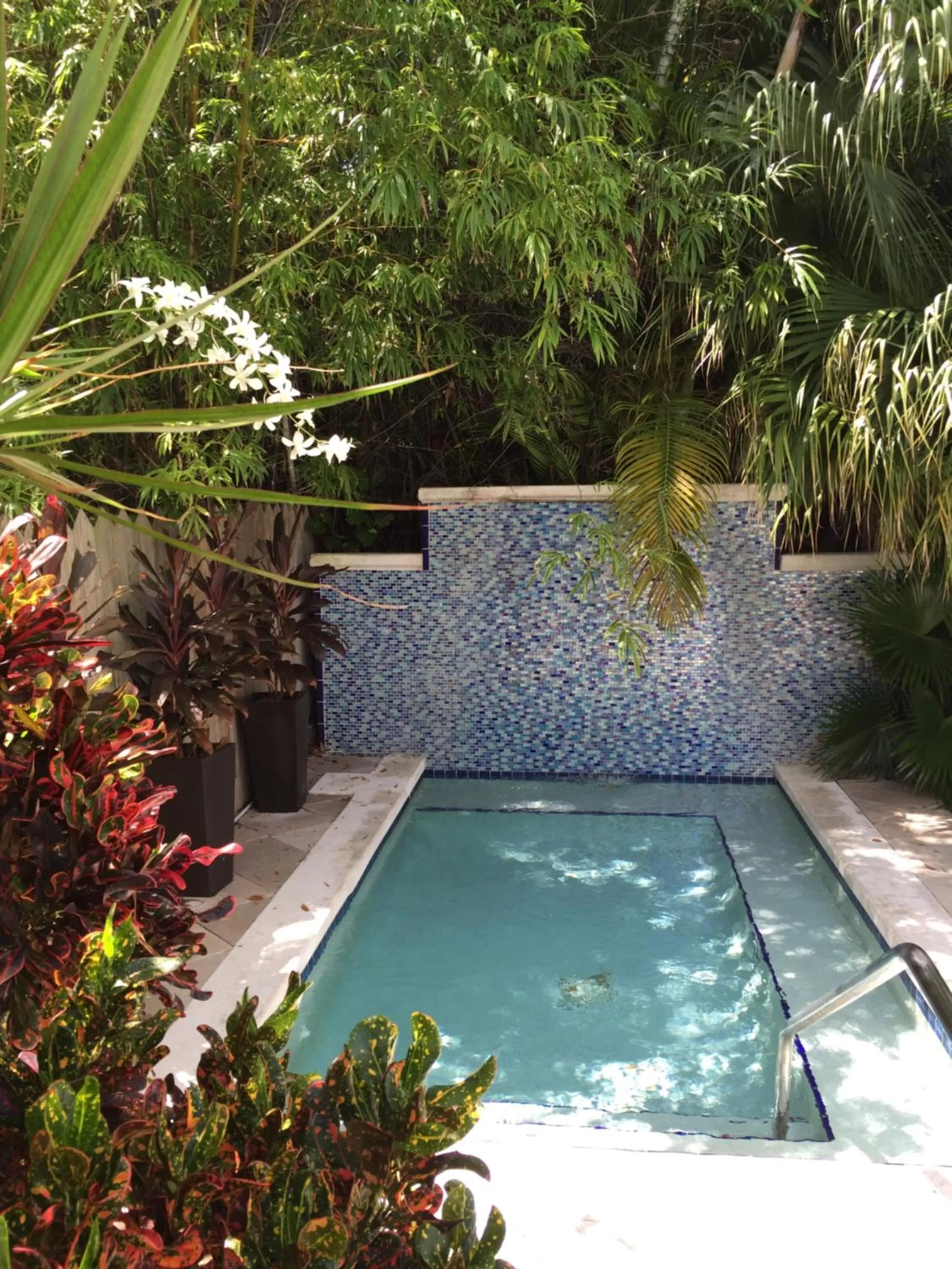 Swimming pool in The Inn on Fleming