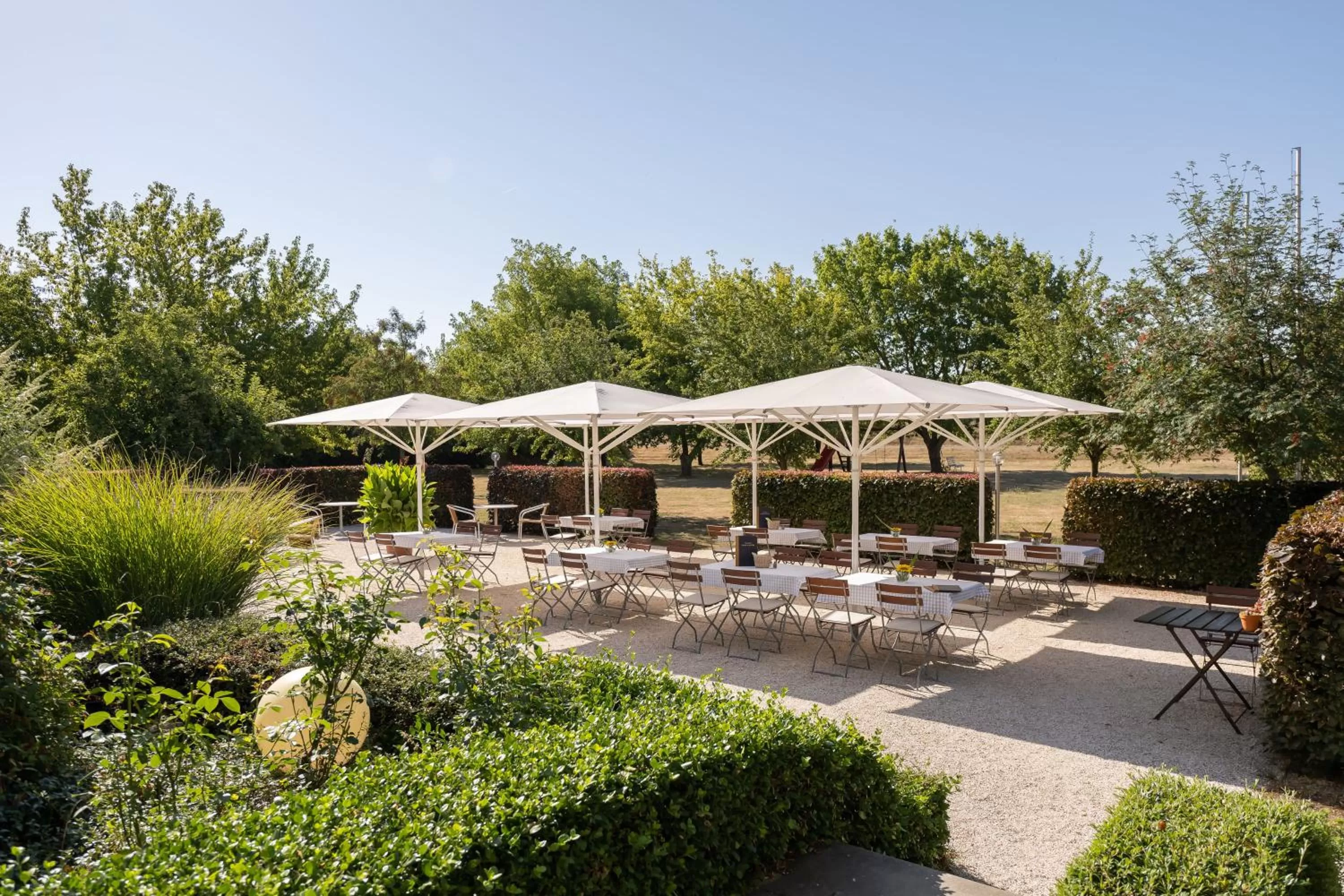 Restaurant/places to eat in Hotel Moritz an der Elbe