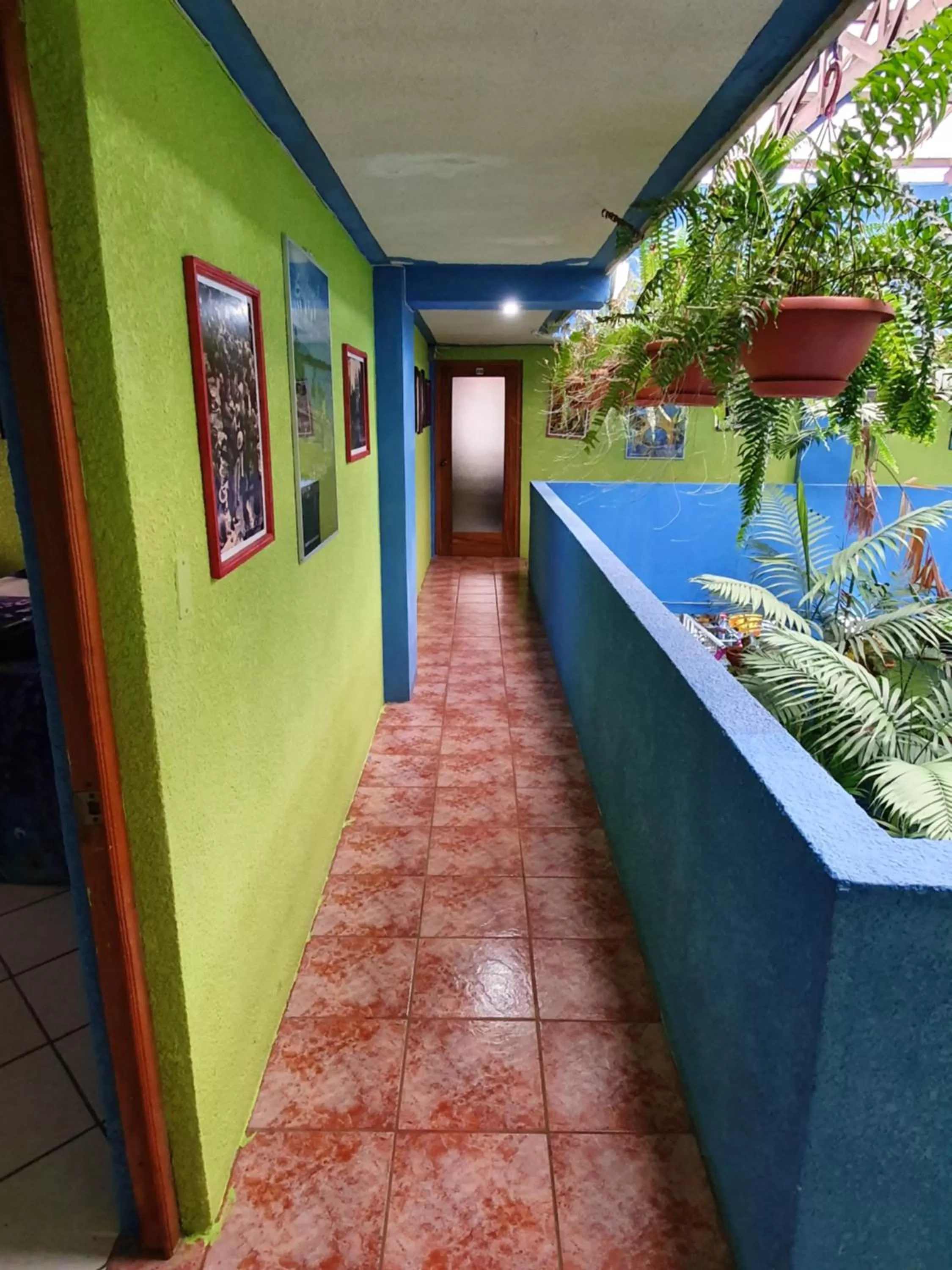 Balcony/Terrace in hotel kasa kamelot 2