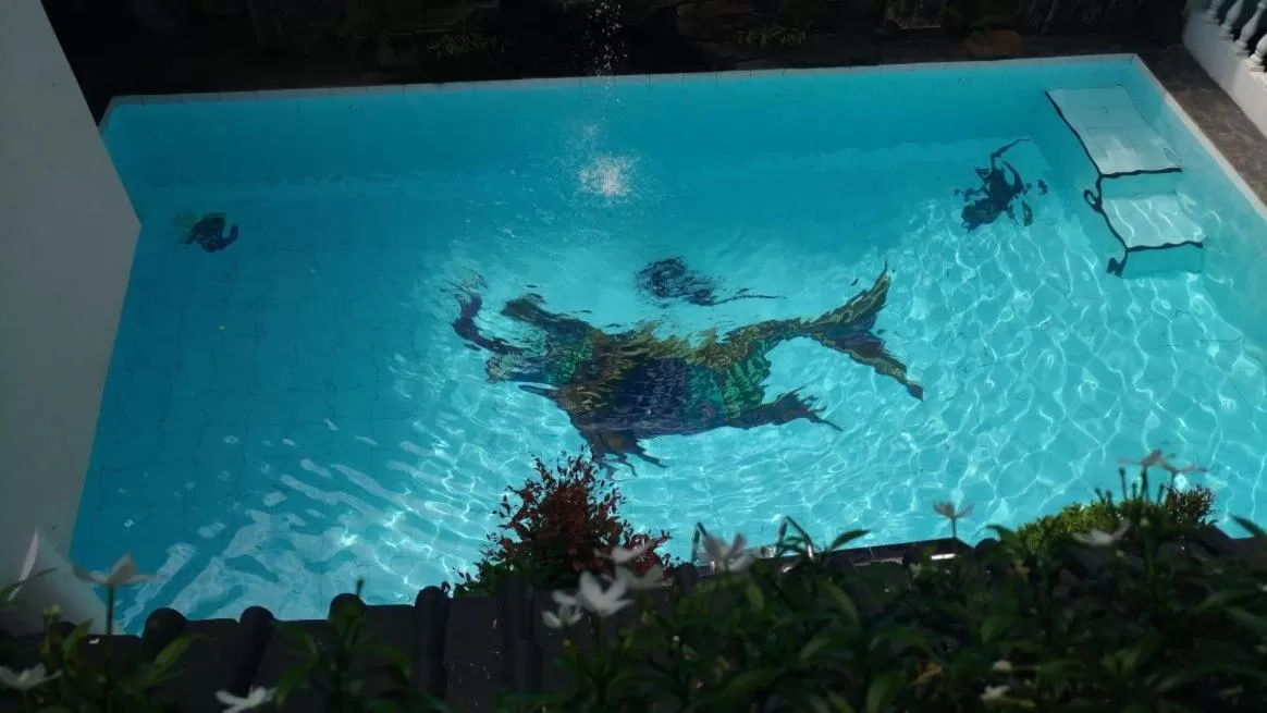 Pool view in Bladok Hotel & Restaurant