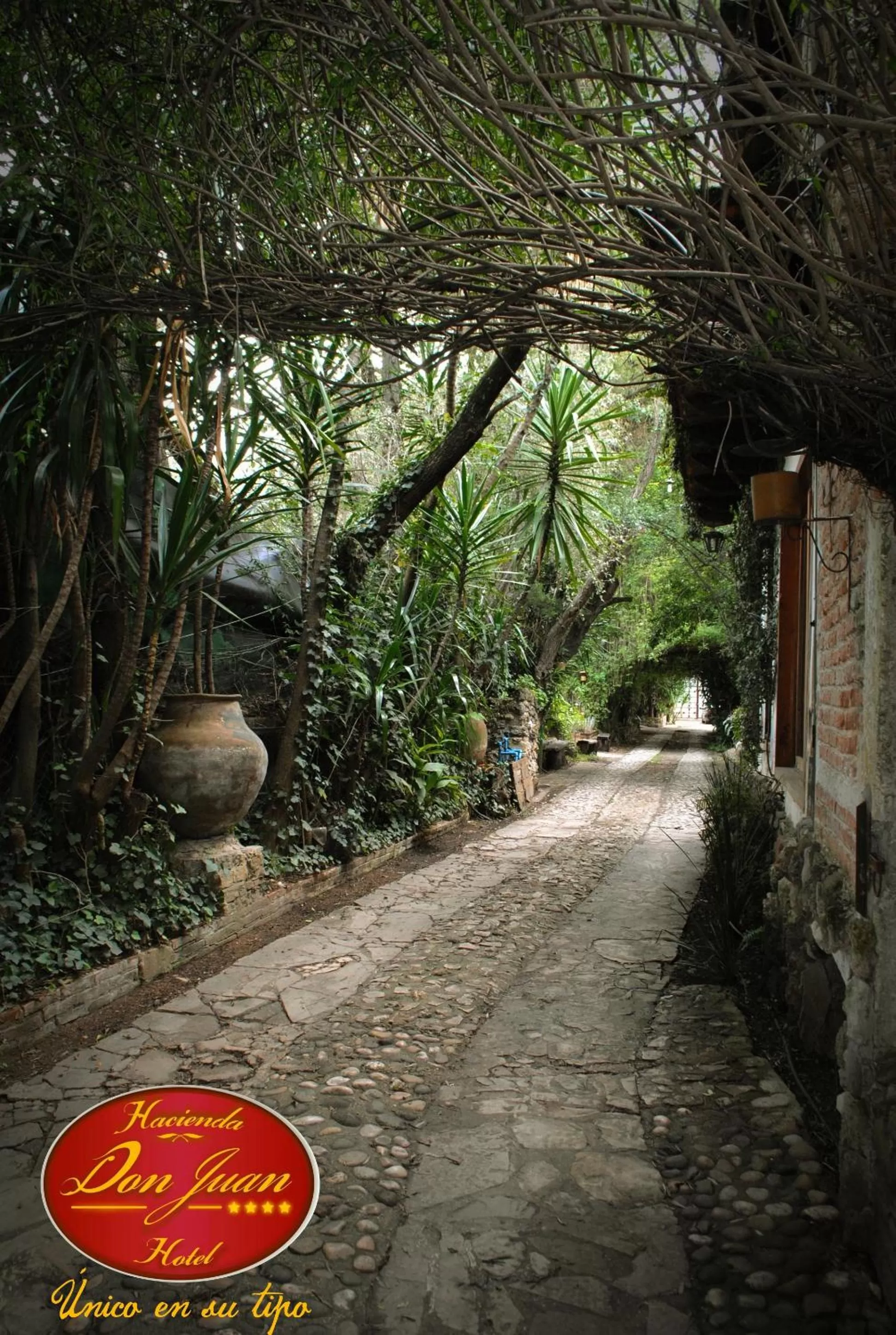 On site in Hotel Hacienda Don Juan