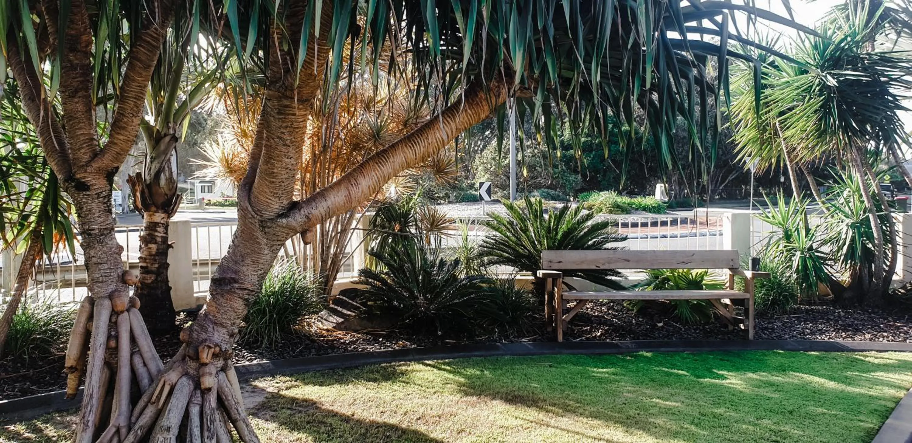 Garden in Pottsville Beach Motel