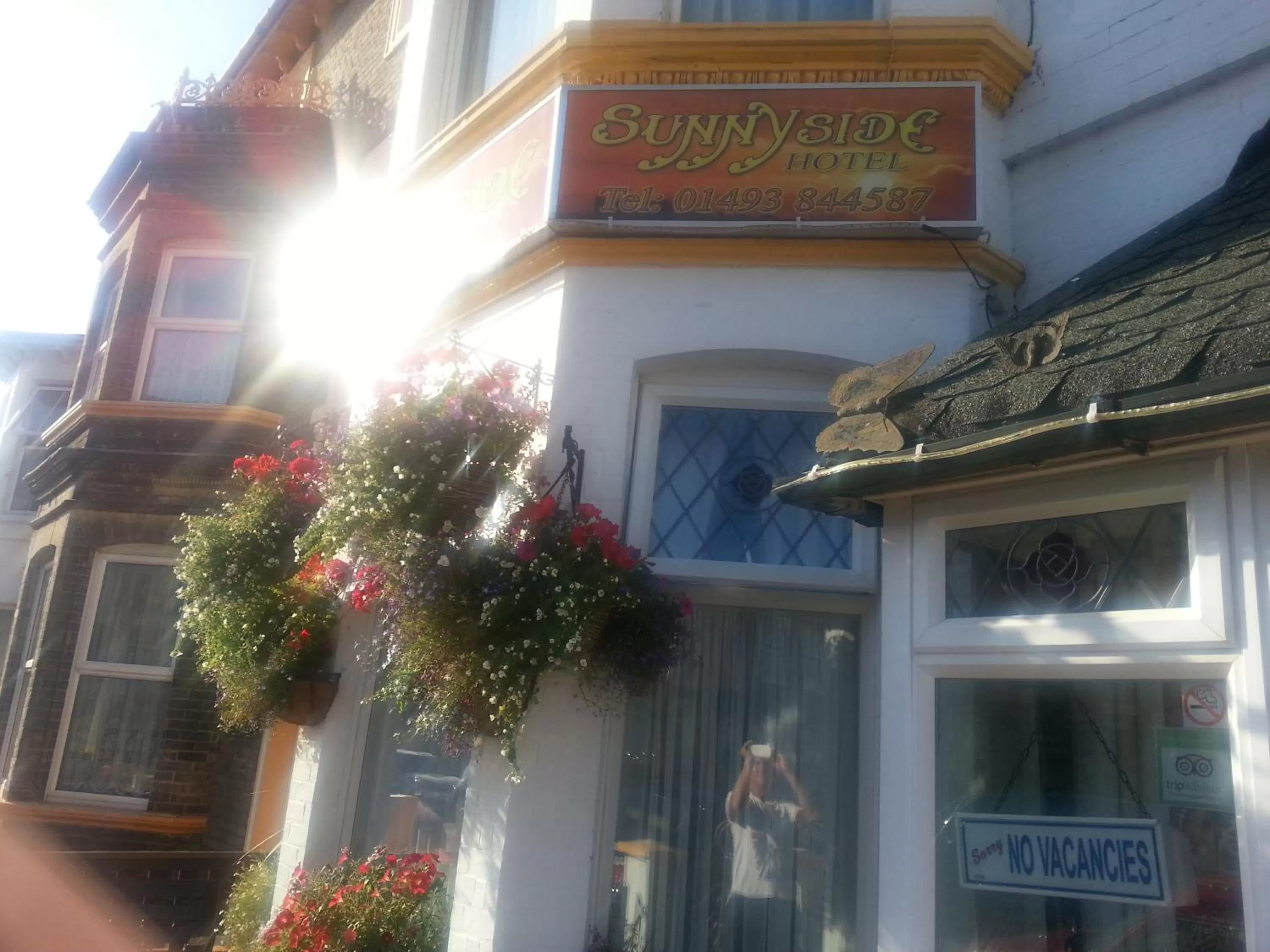 Garden, Property Logo/Sign in Sunnyside Hotel