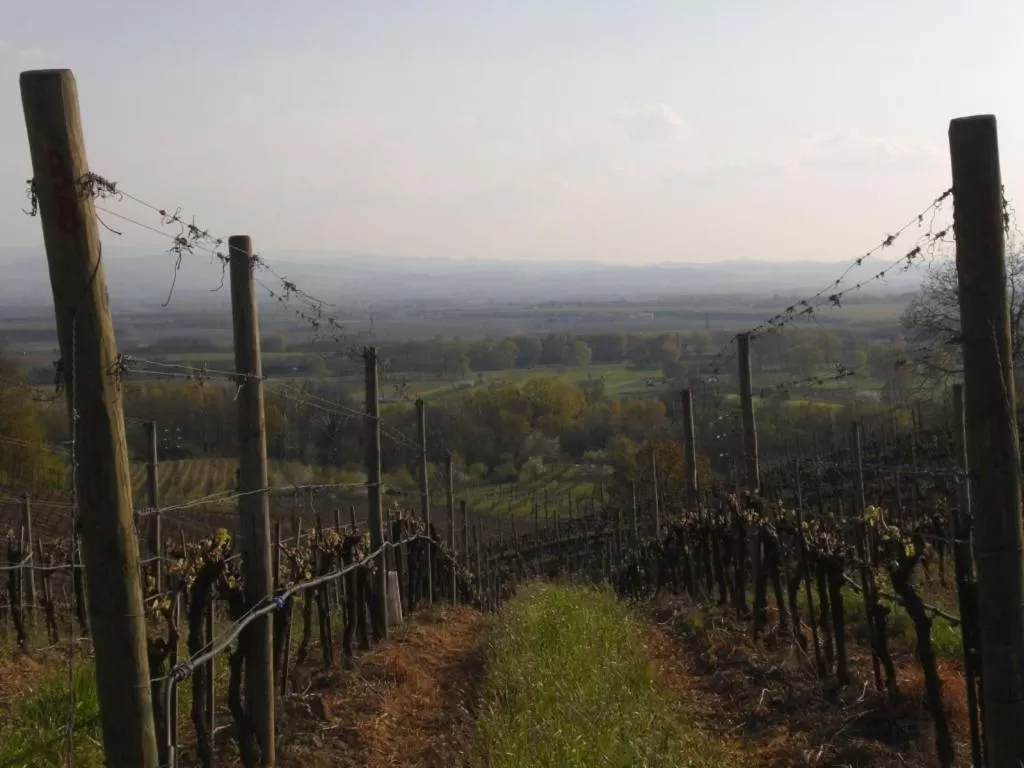 Natural landscape in Bed & Breakfast Sforza 19