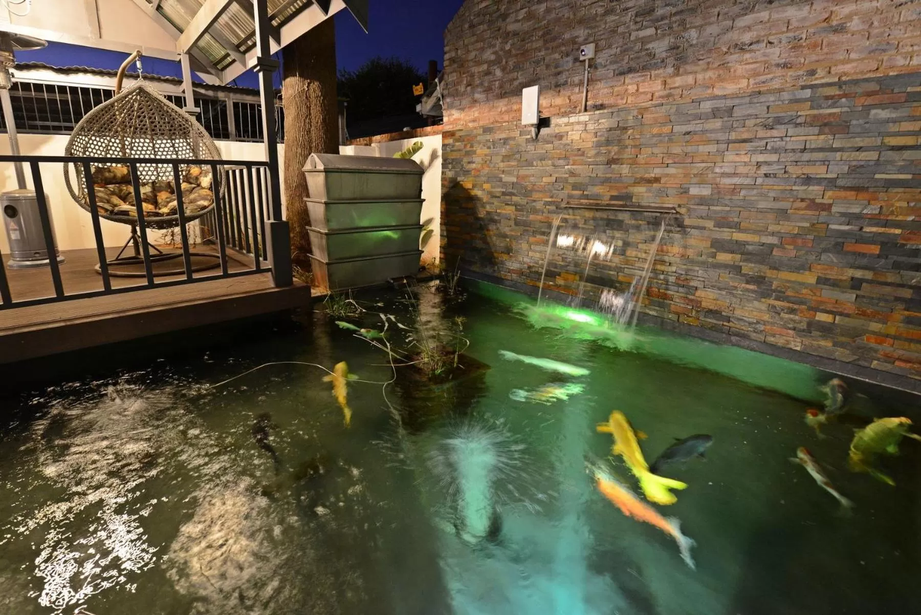 Garden in Milner House Kimberley