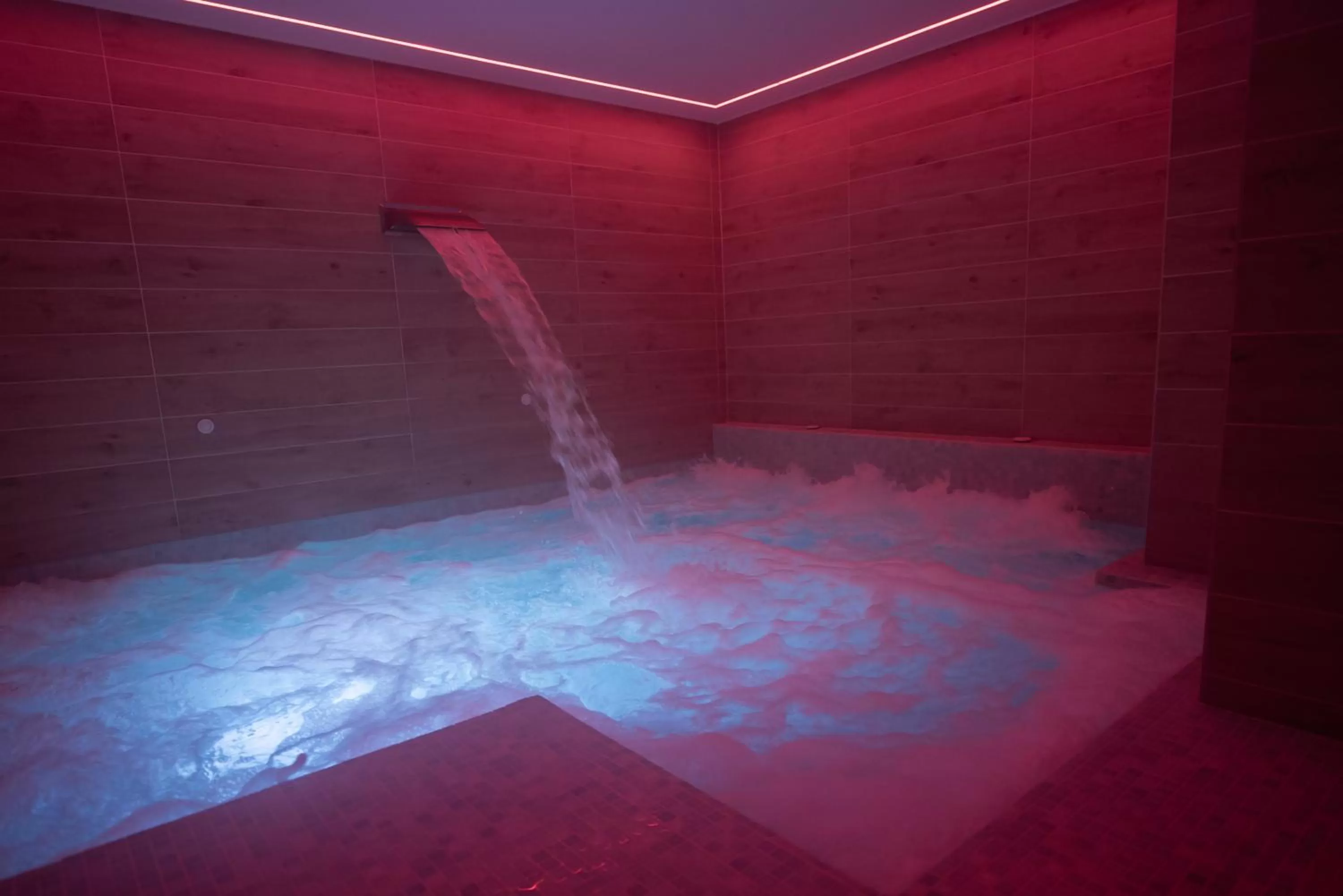 Spa and wellness centre/facilities in Hotel Avenida