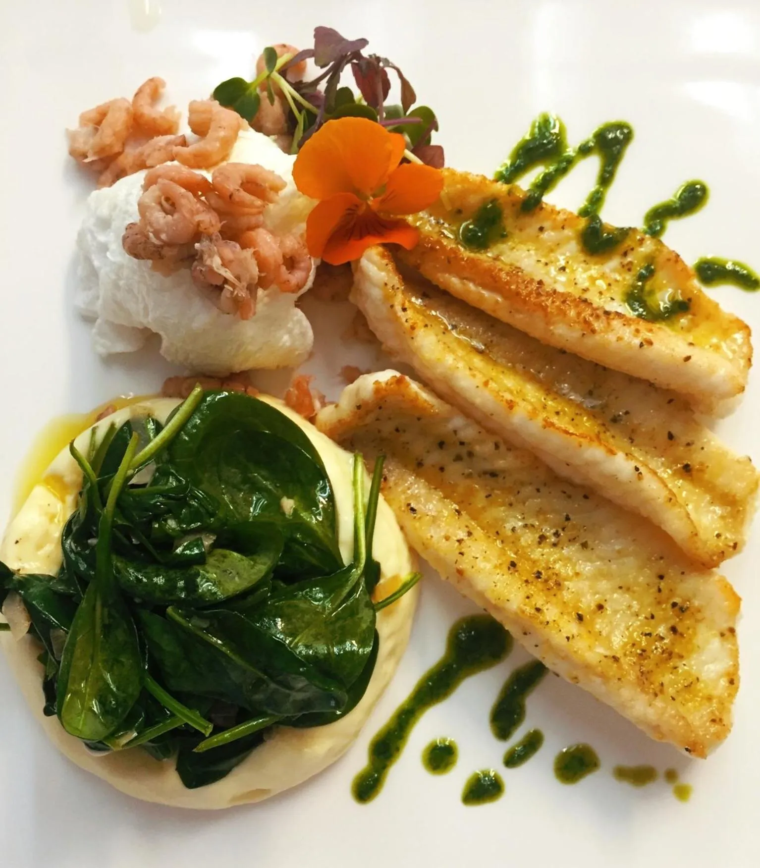 Food and drinks in Hotel am Wallgraben