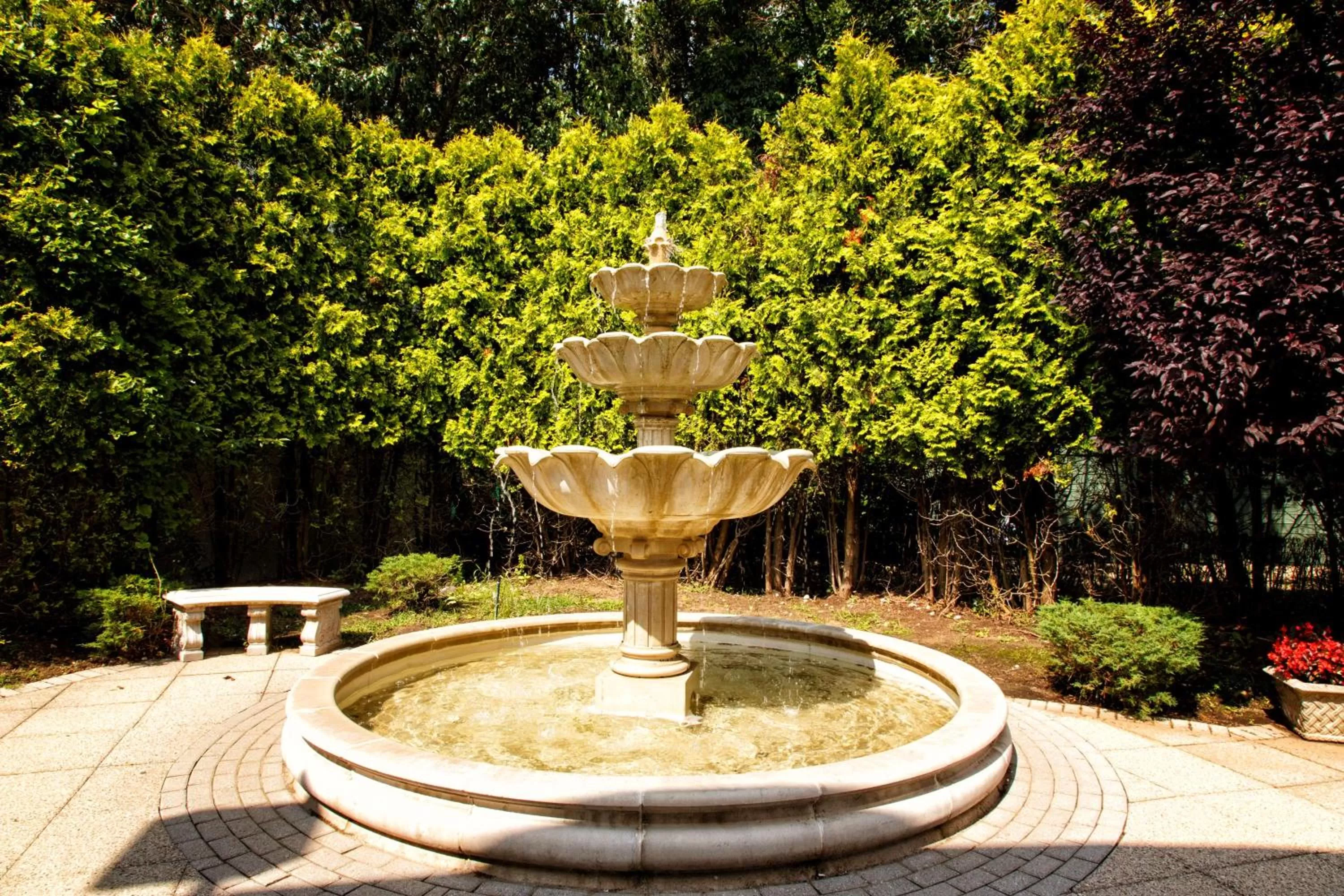 Garden in Hilton Garden Inn New York/Staten Island