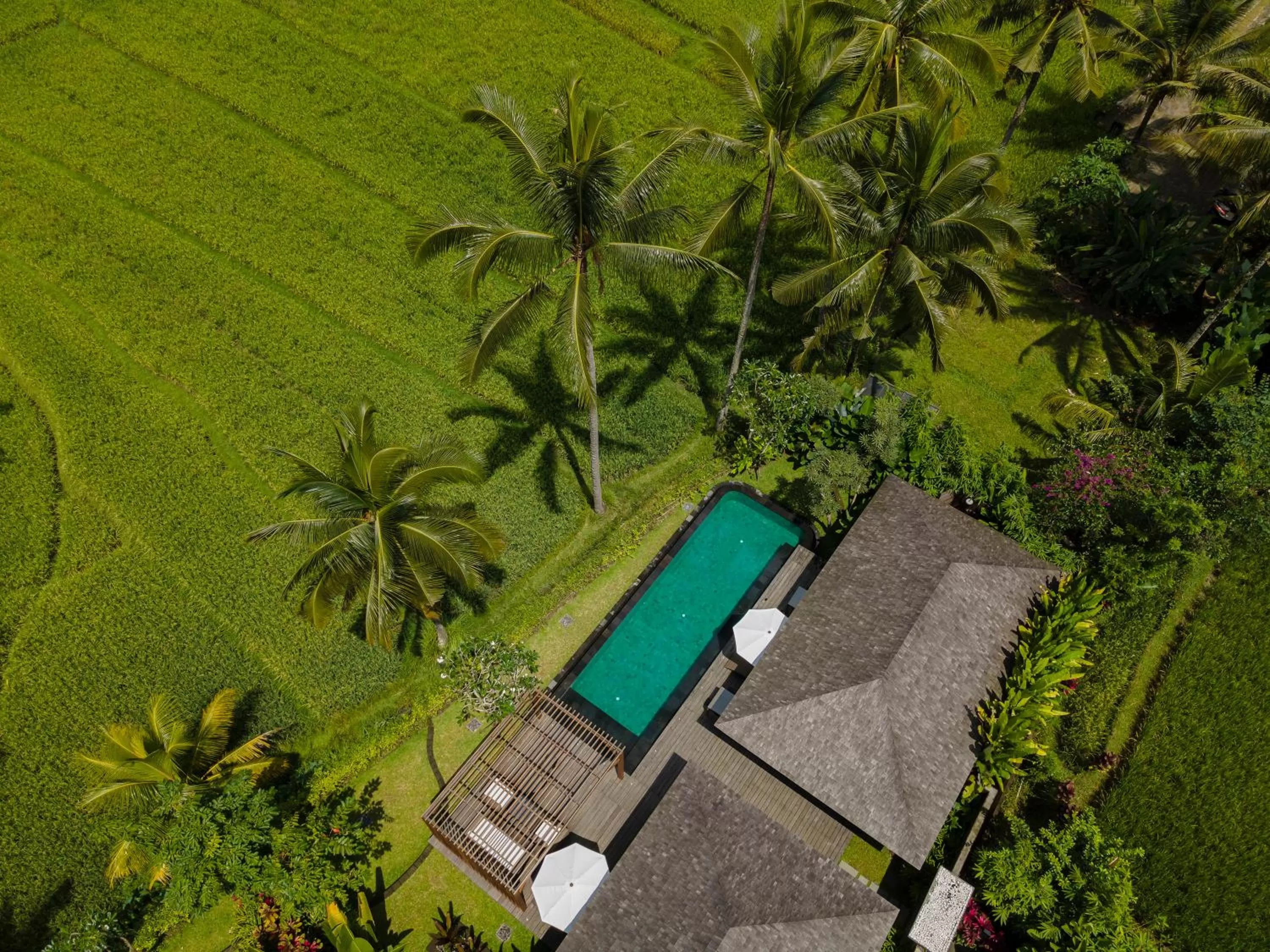 Two-Bedroom Villa with Private Pool and Daily Scheduled Activities in Kappa Senses Ubud