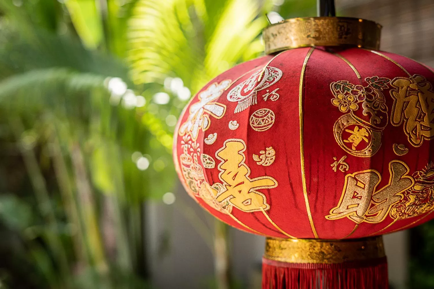 Decorative detail in Maison 557