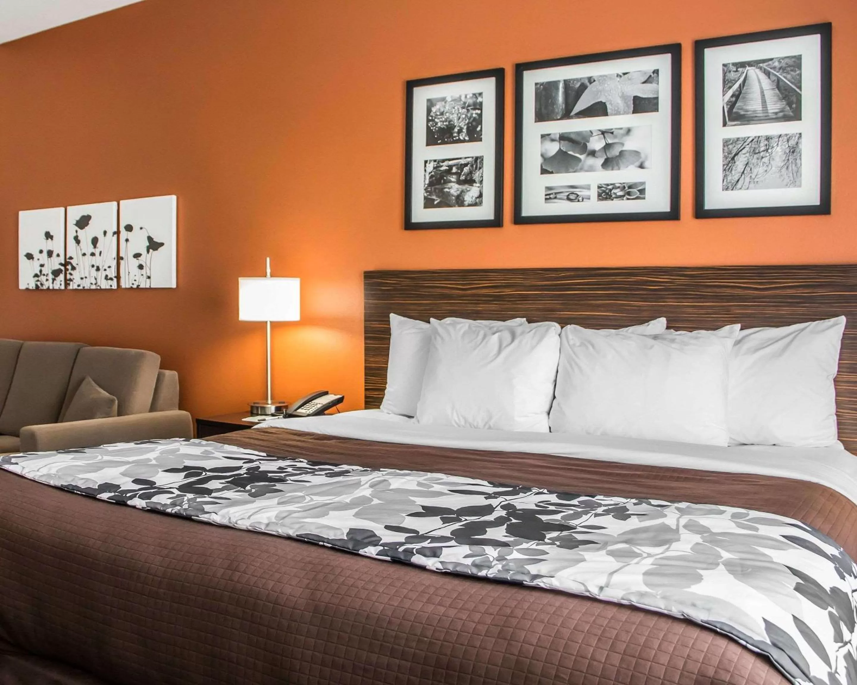 Photo of the whole room, Bed in Sleep Inn & Suites Blackwell I-35