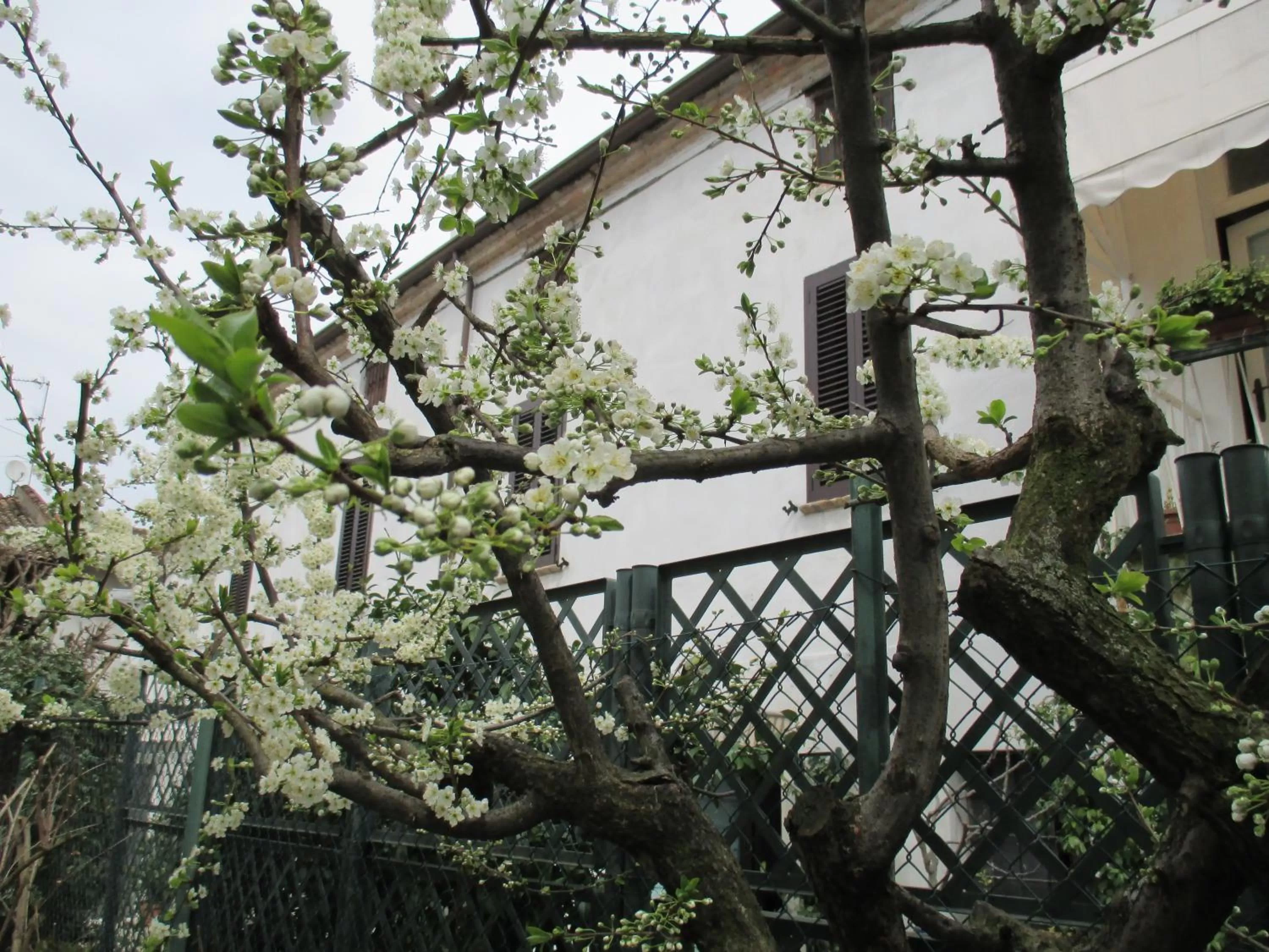 Property building in Dimora & Arte B&B