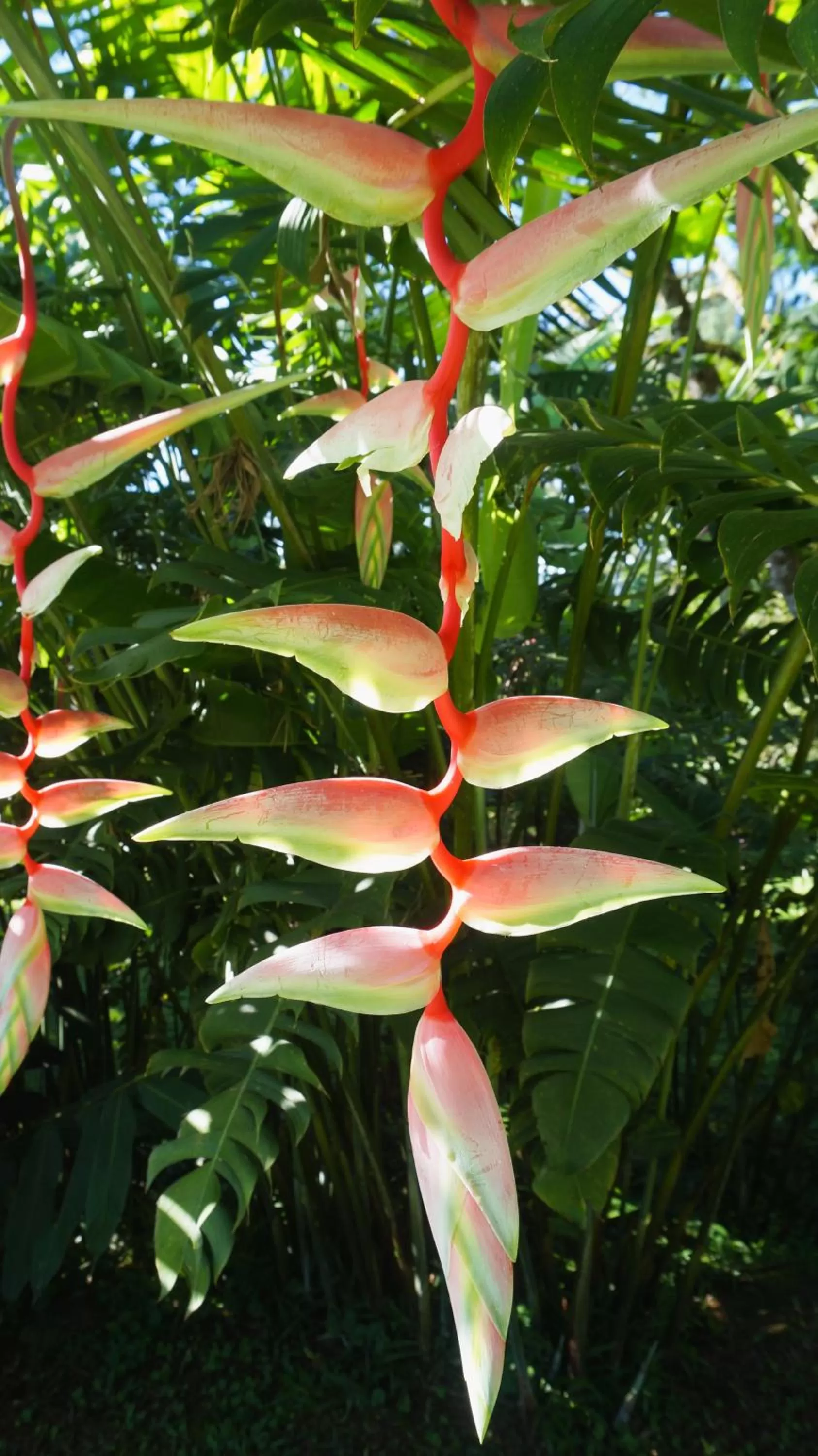 Day in Hospedaje La Naciente