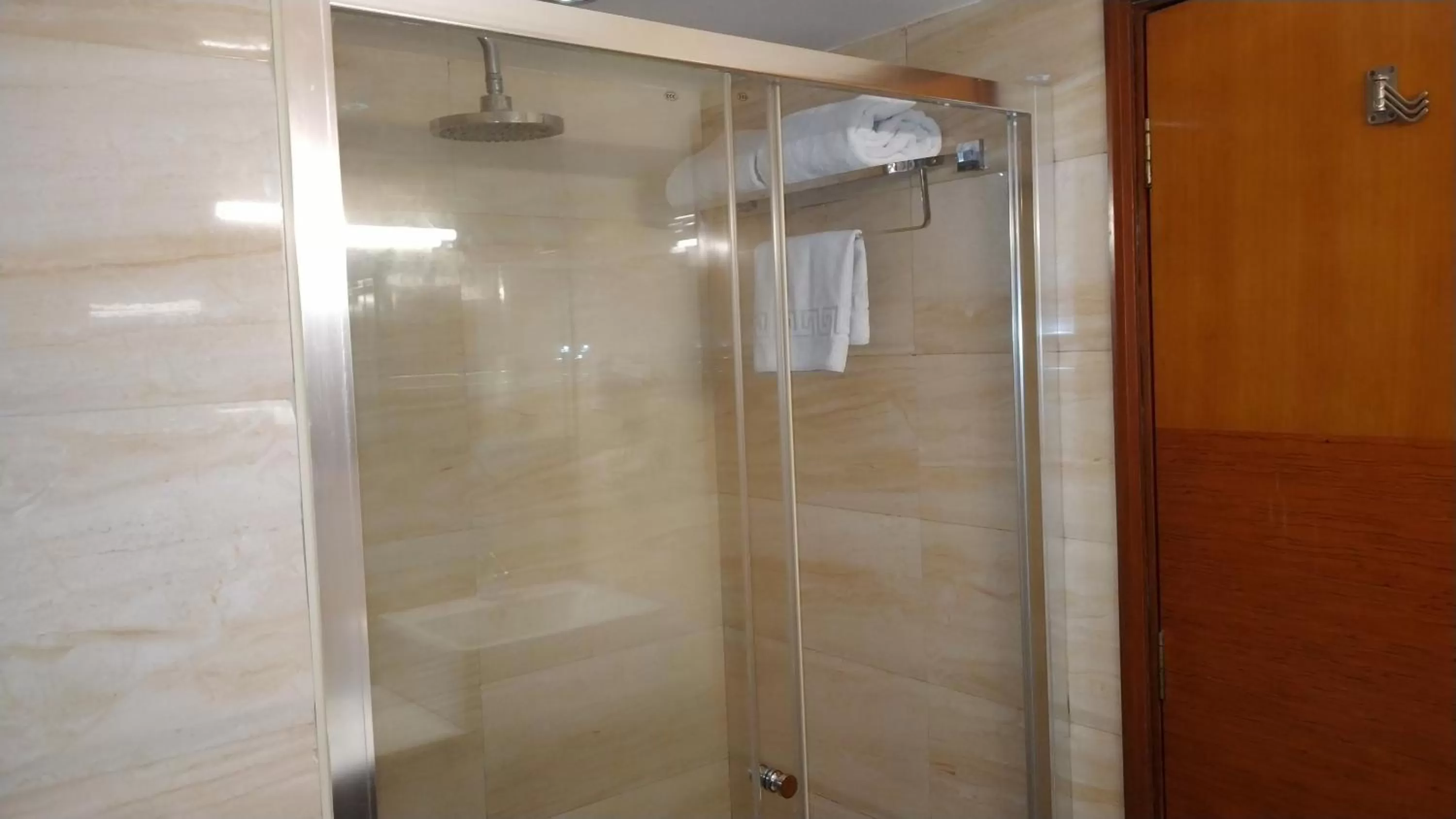 Shower in Best Western Ashoka