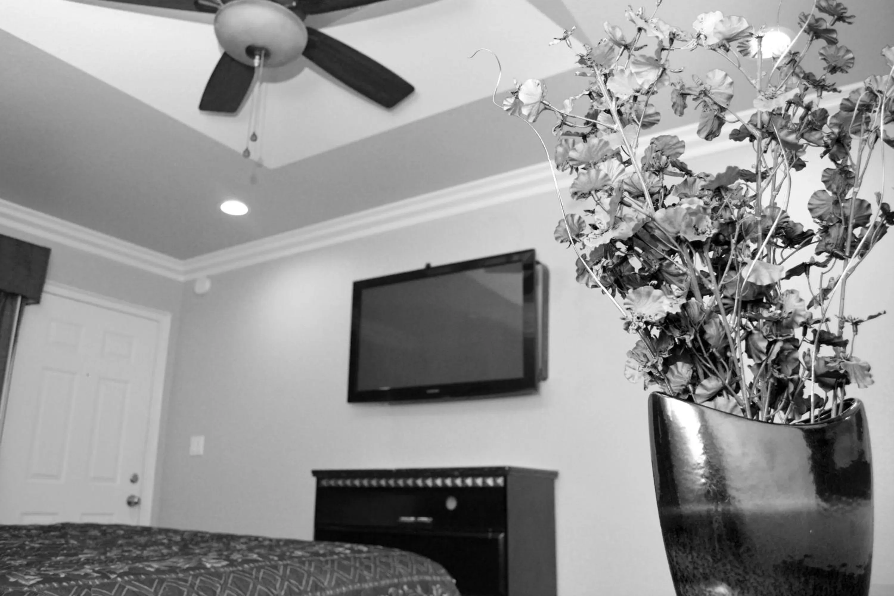 Photo of the whole room in Crystal Lodge Motel