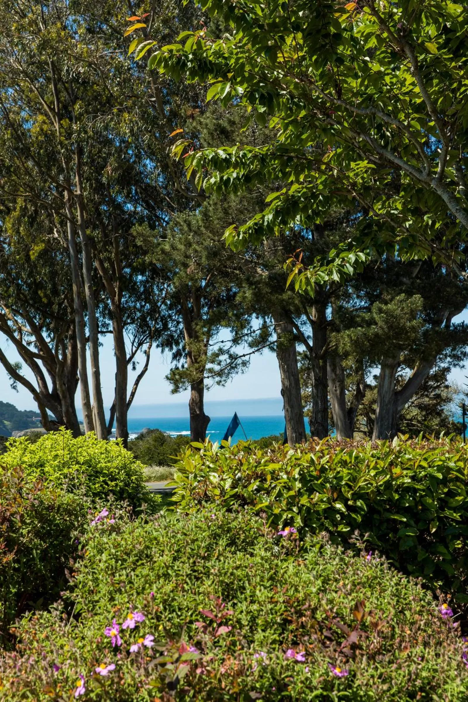Garden in Headlands Inn Bed and Breakfast