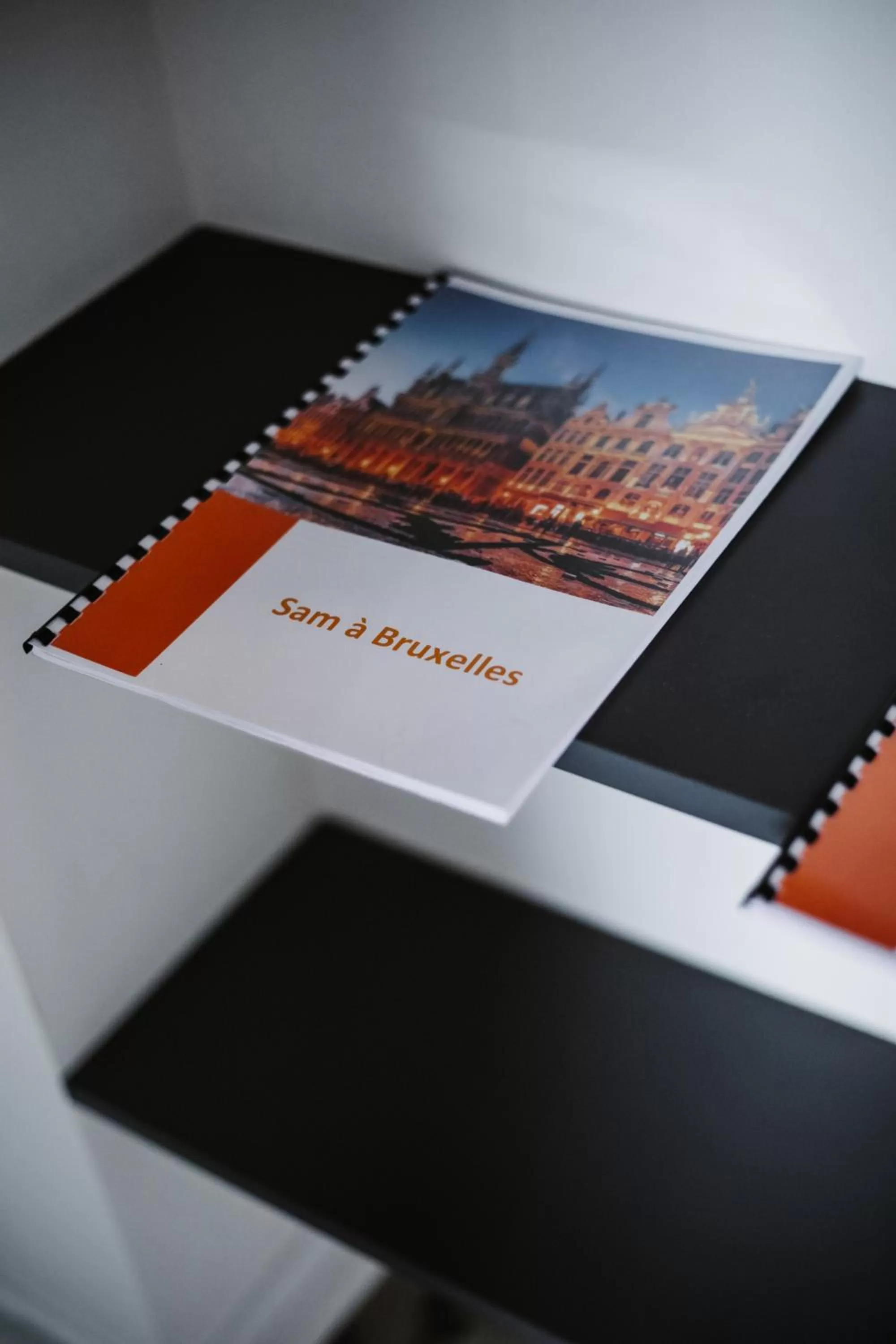 Library in Super central in Brussels