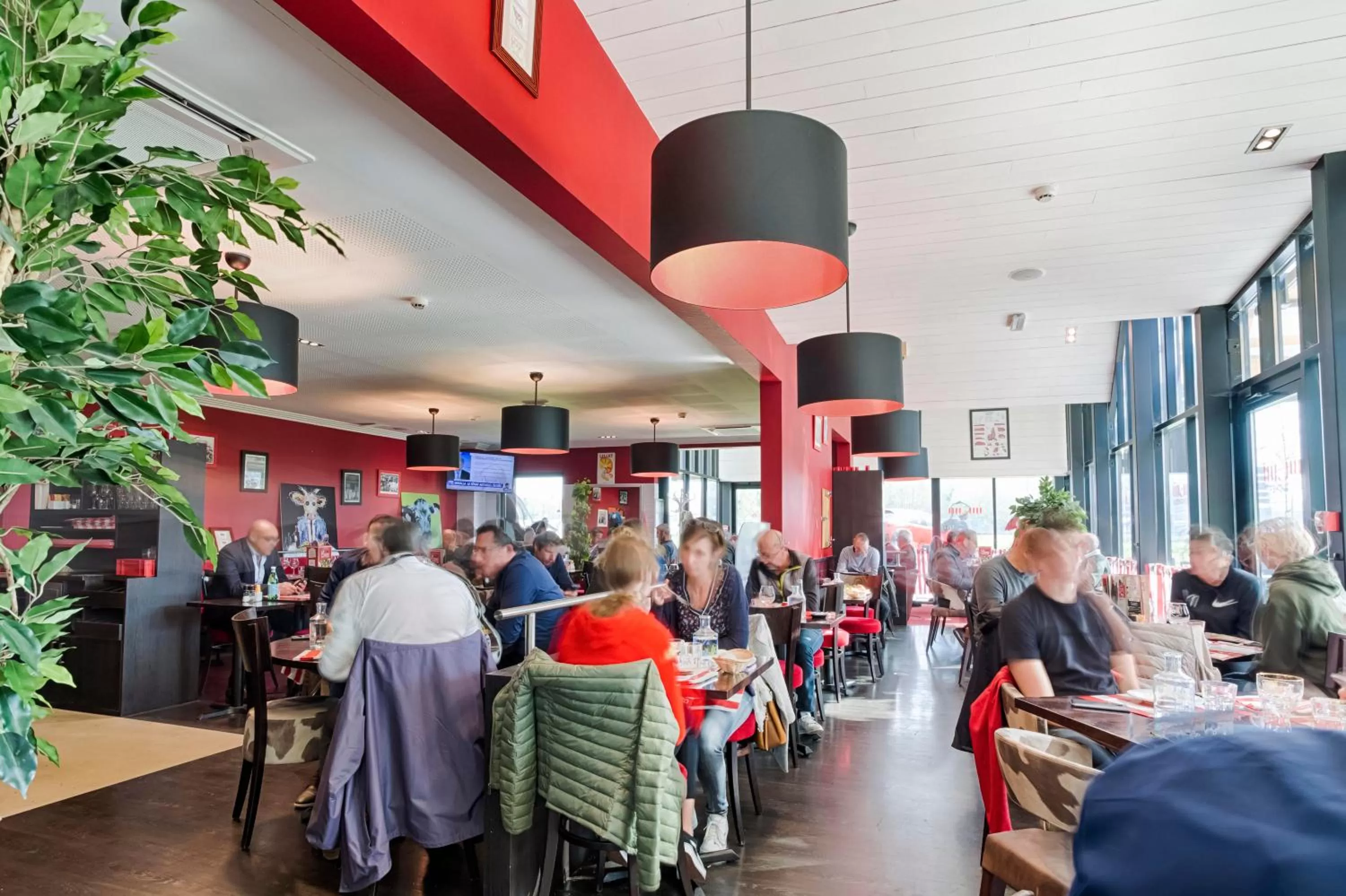 Restaurant/places to eat in Kyriad Prestige Pau – Palais des Sports