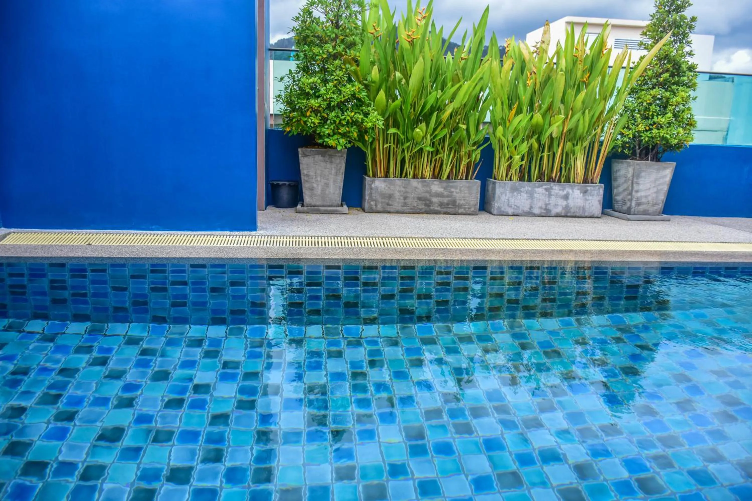 Swimming pool in Ocean and Ole Patong