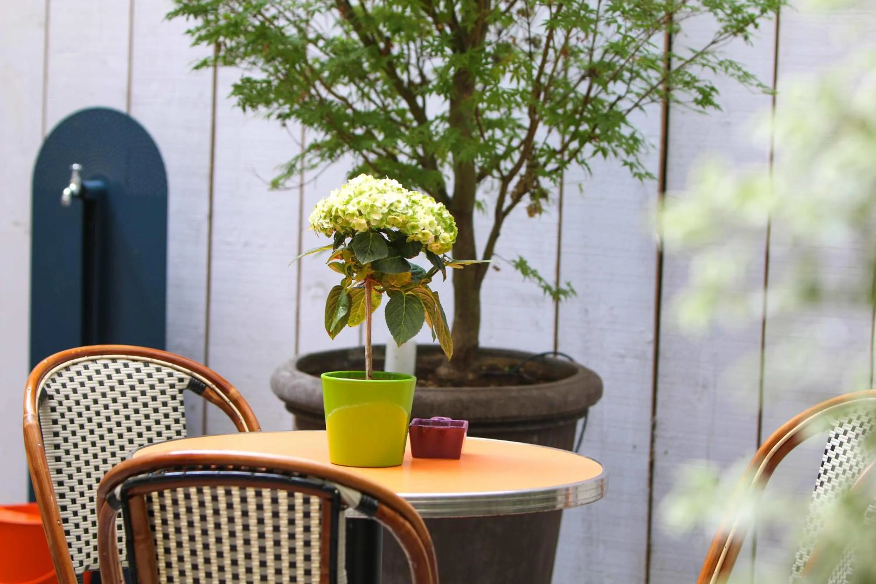 Garden view in Hôtel Vic Eiffel