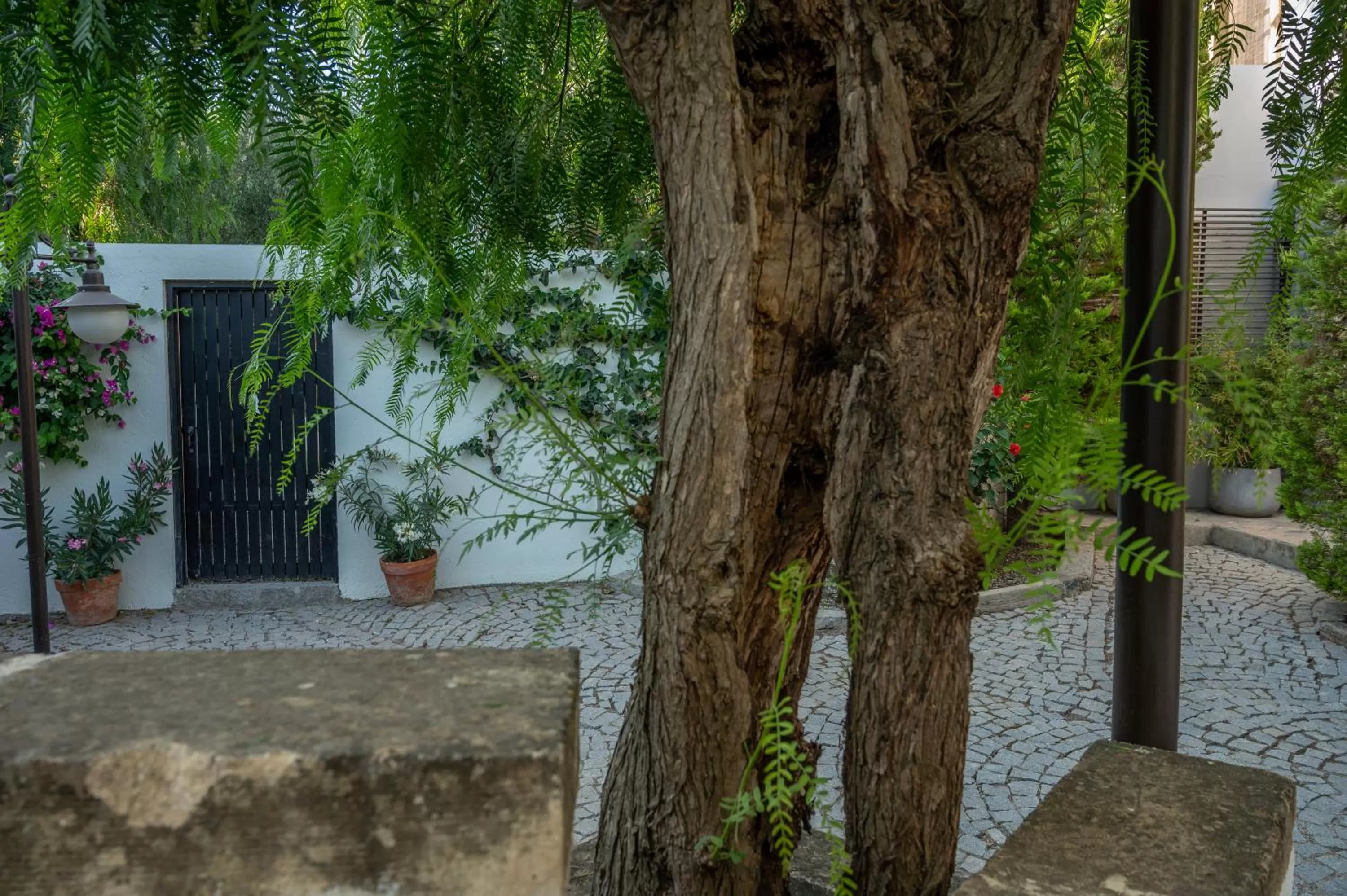 Garden in 4reasons hotel + bistro | 12+