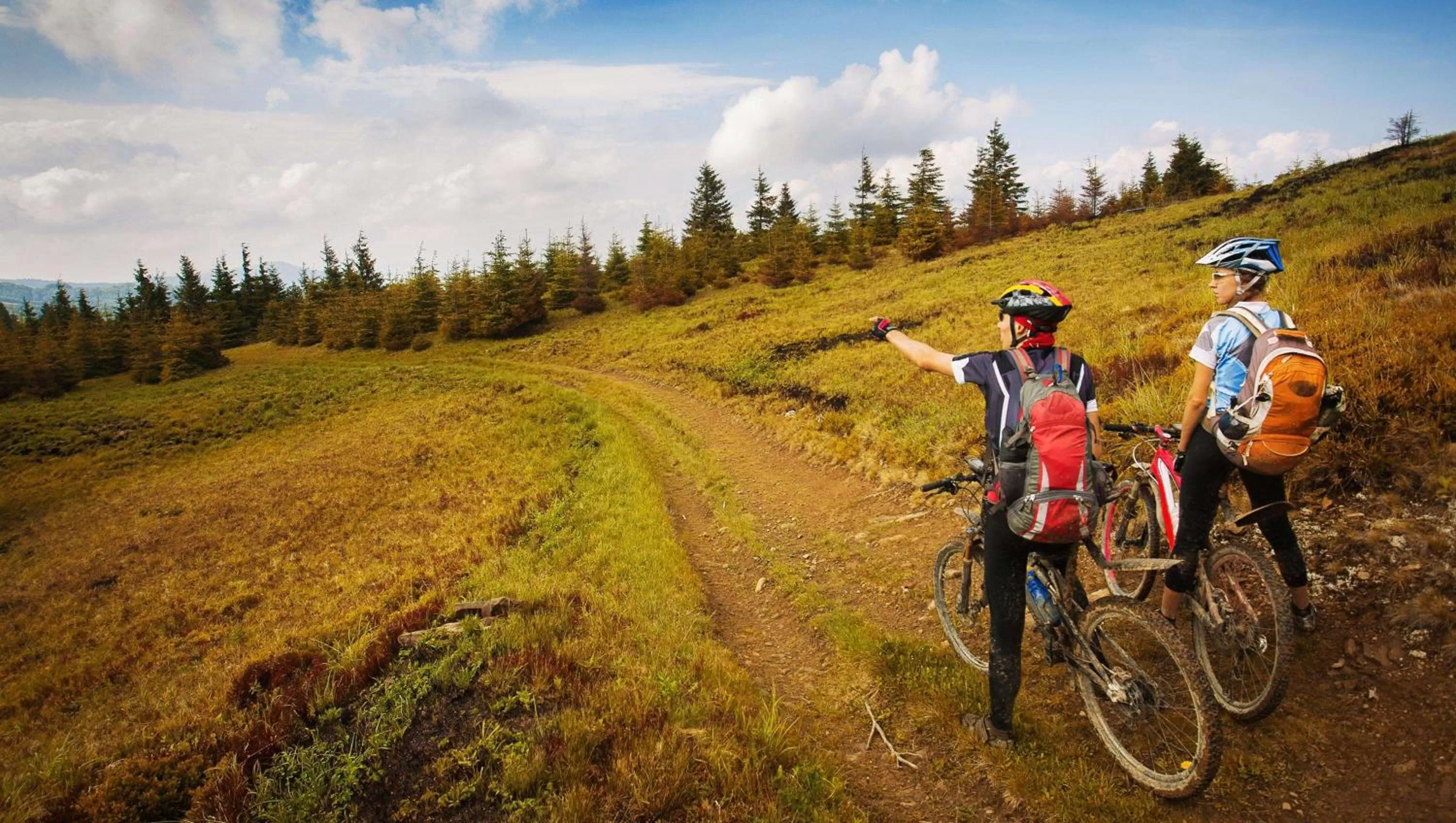 Nearby landmark in Stardust Motel Wallace