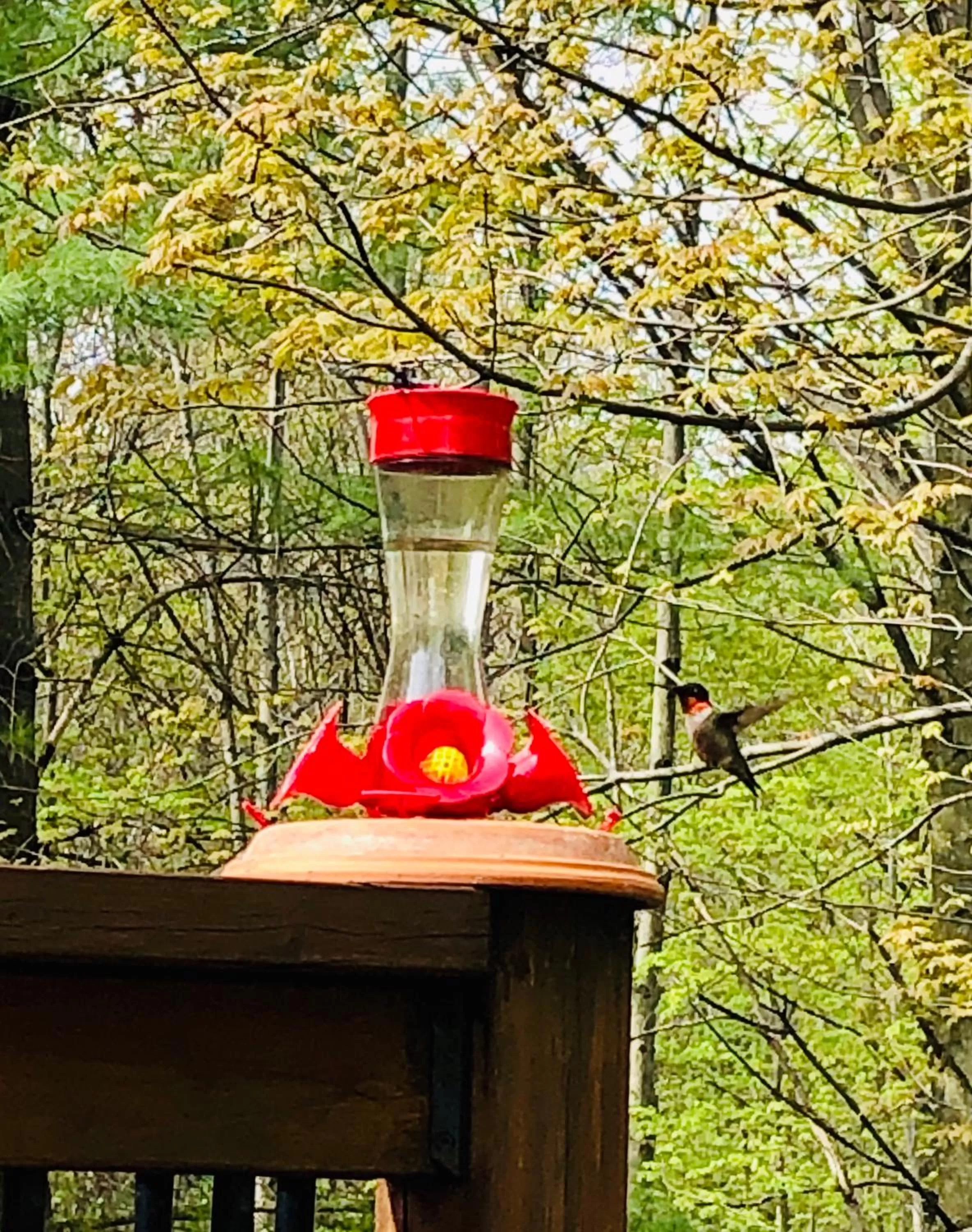 Day in Au Gré Du Temps - Gîte B&B