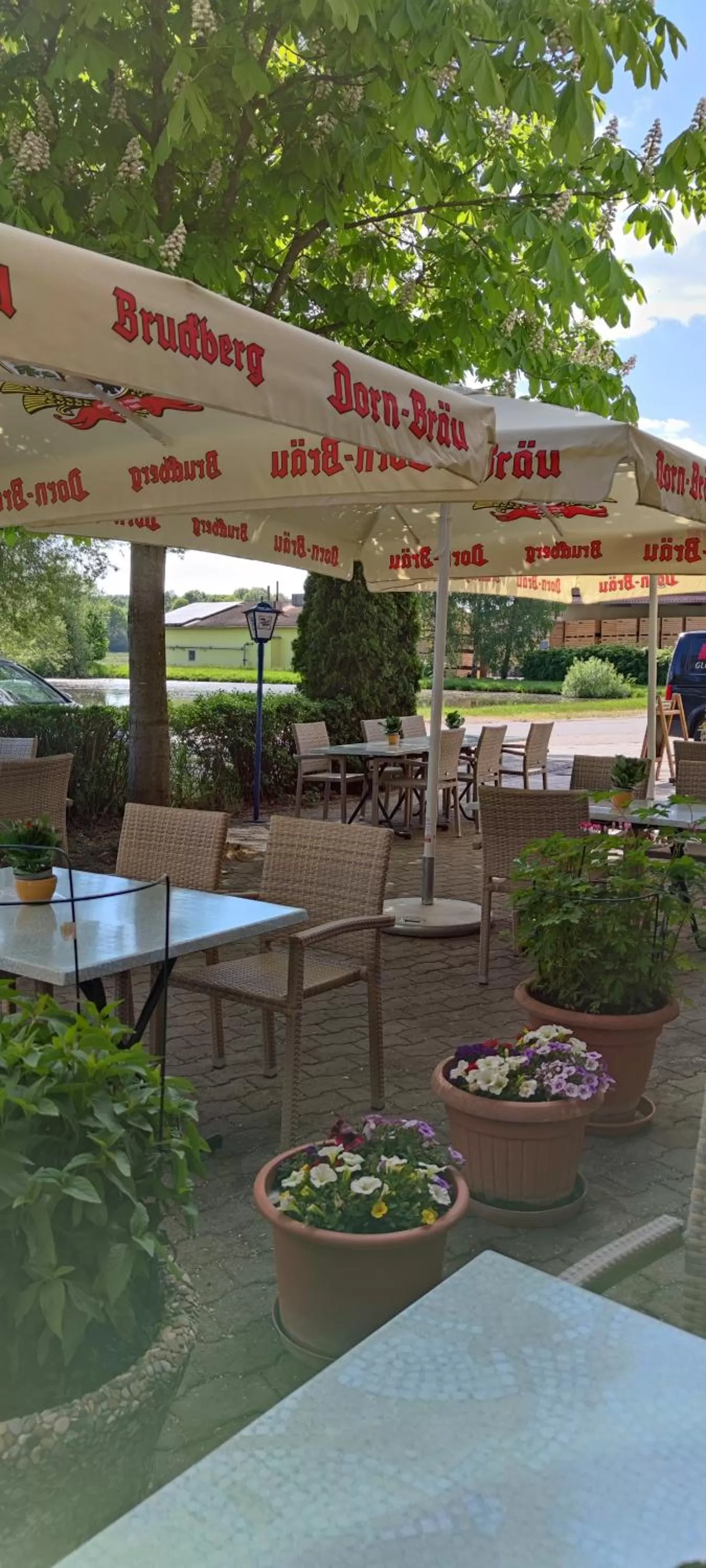 Garden in Gasthaus Pension Rezatgrund