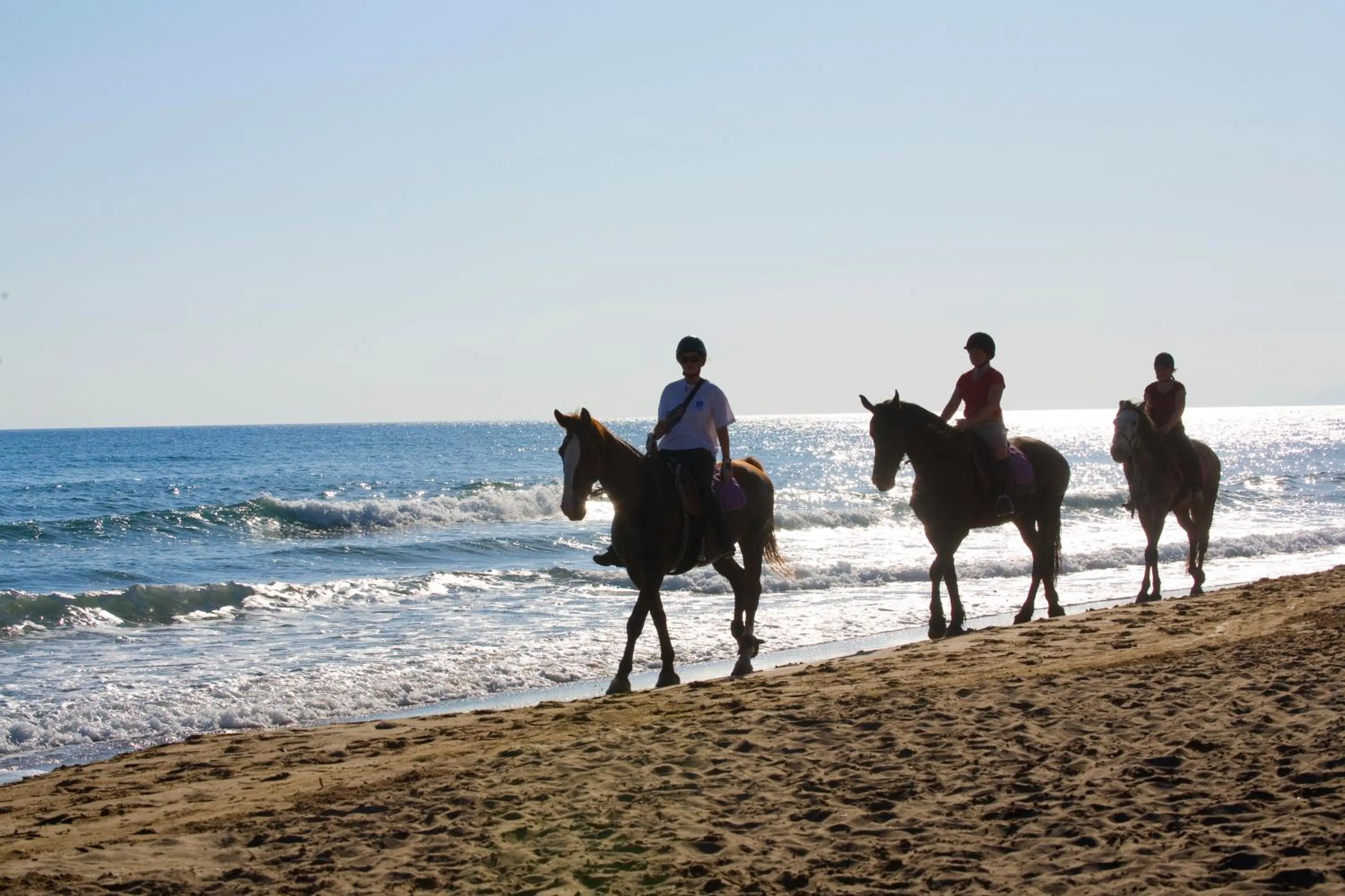 Horse-riding in Pilot Beach Resort